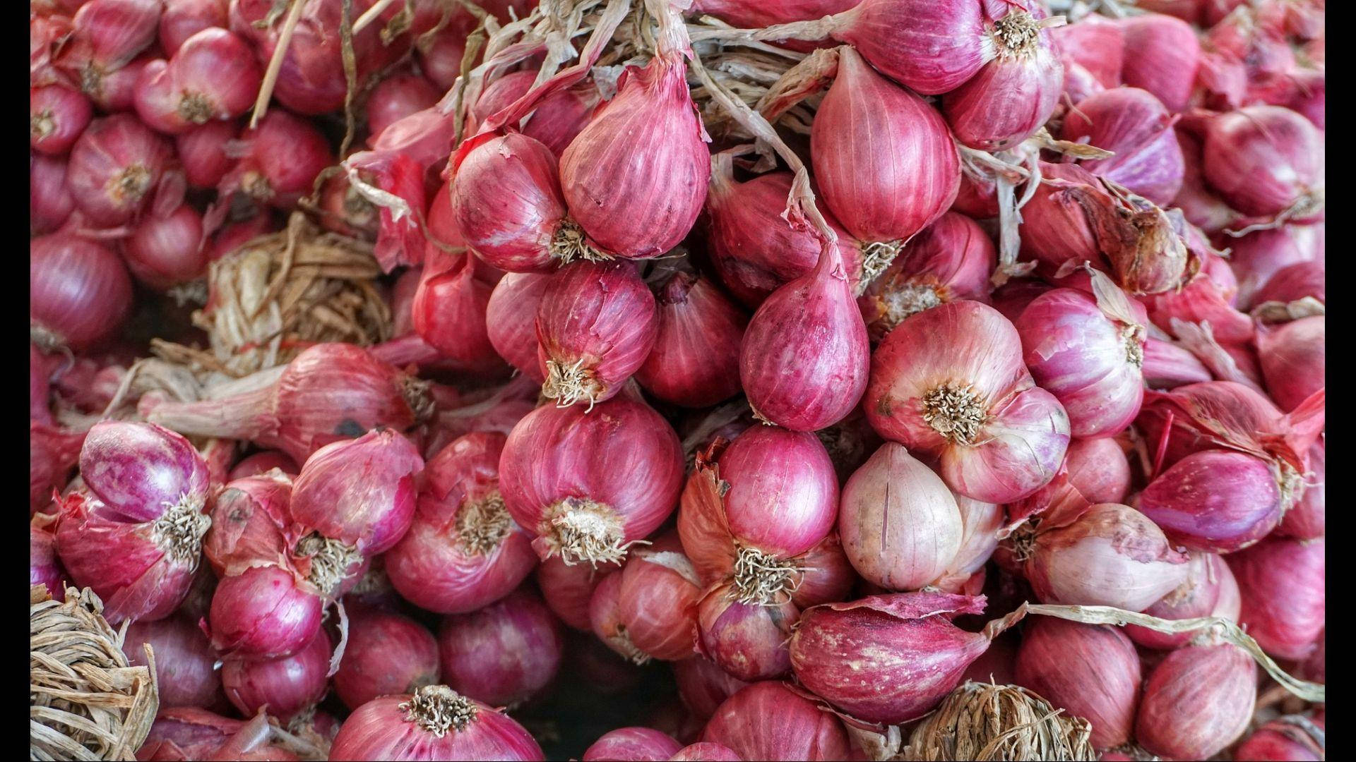 fresh red onions, papery skins, dried stems, Full HD Desktop Wallpaper