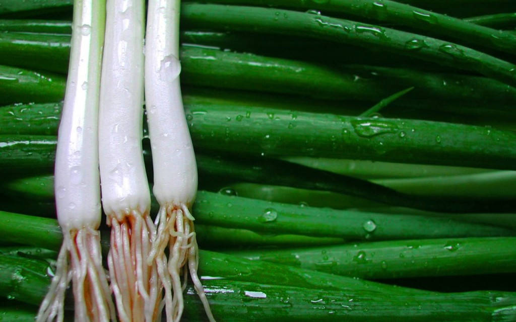 wet spring onions, green scallions, white bulbs, SD Desktop Wallpaper