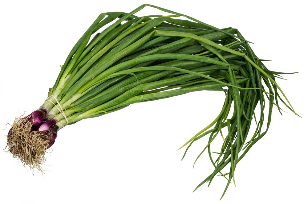 spring onion, green onions, twine, SD Desktop Wallpaper