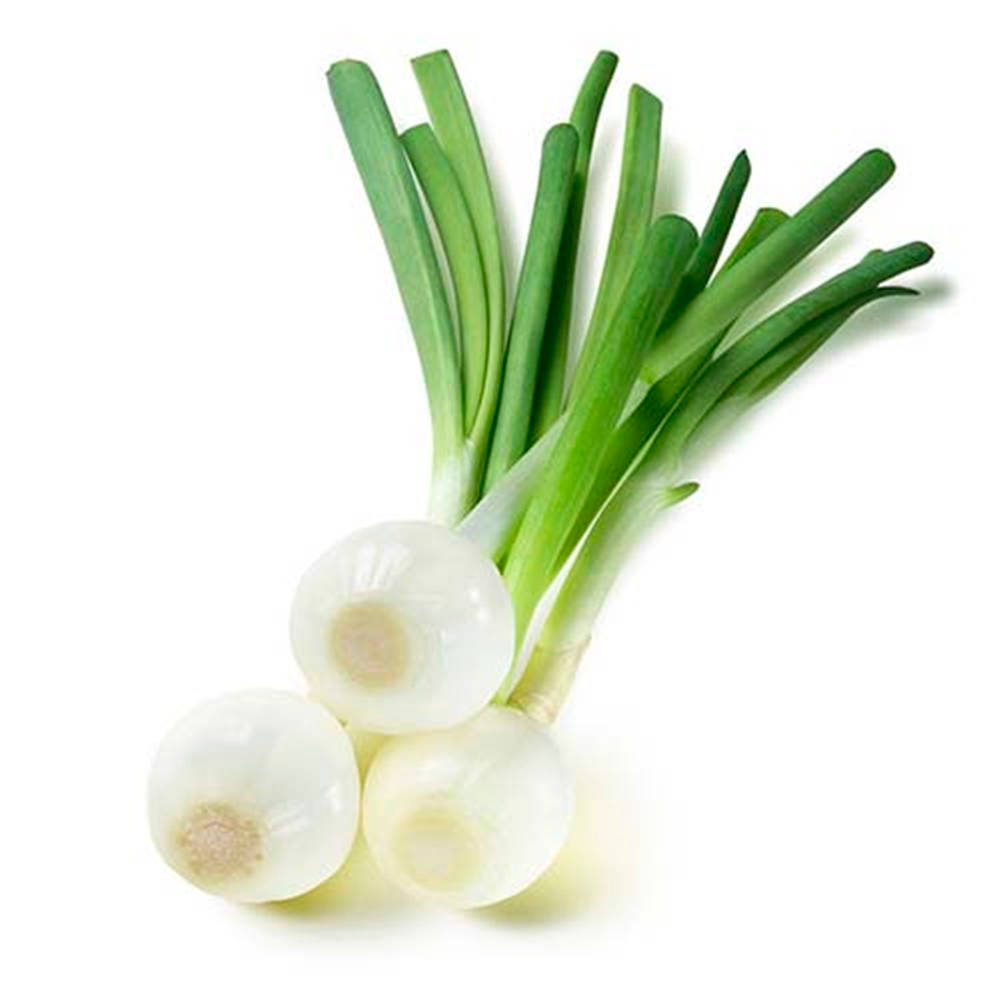 spring onion, crisp green stalks, white bulbs, SD Desktop Wallpaper