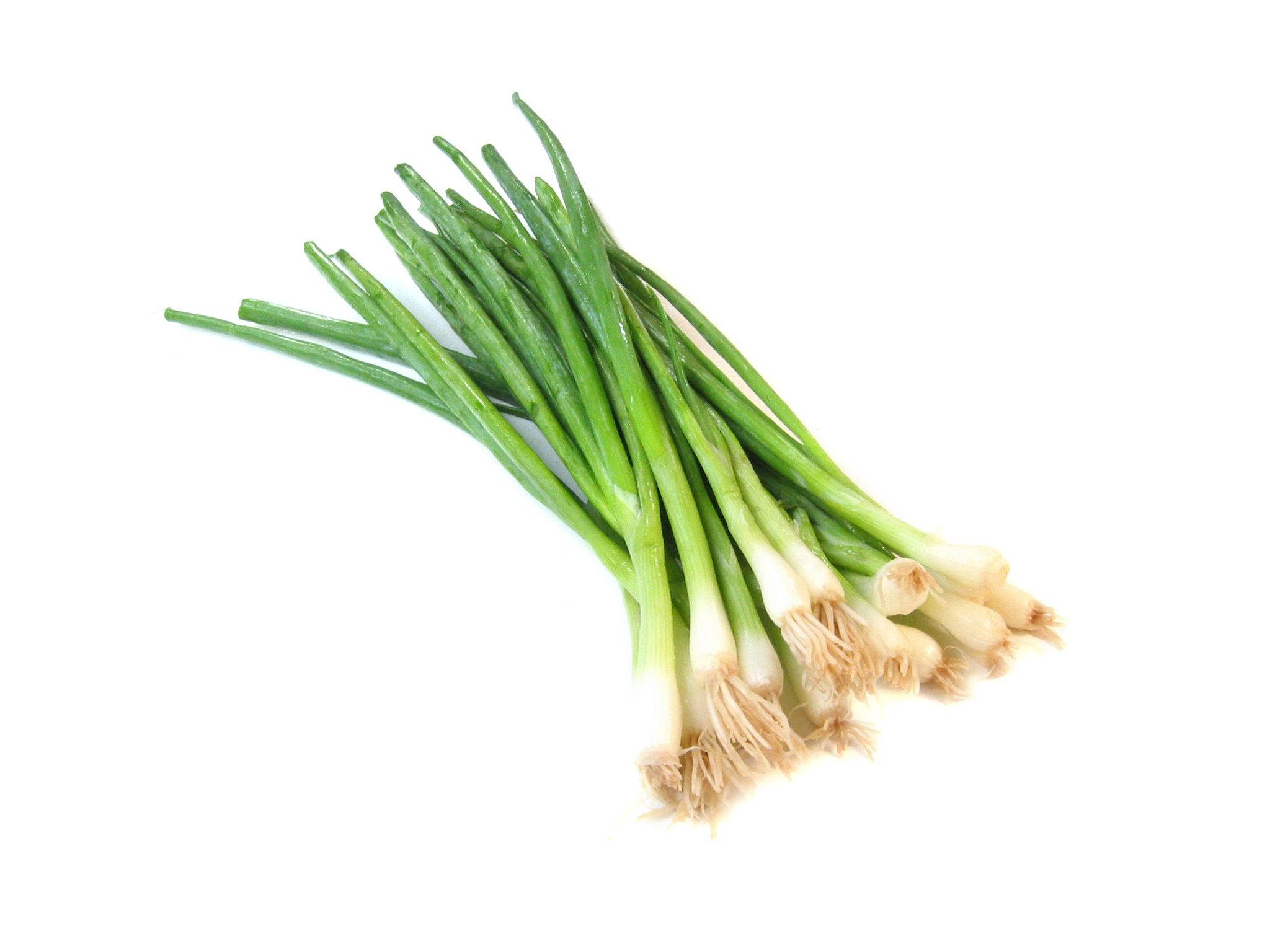 spring onion, green onions, crisp green stalks, Full HD Desktop Wallpaper