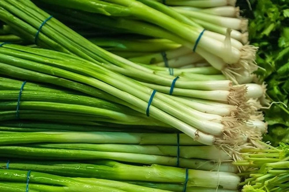spring onions, blue ties, fresh green onions, SD Desktop Wallpaper