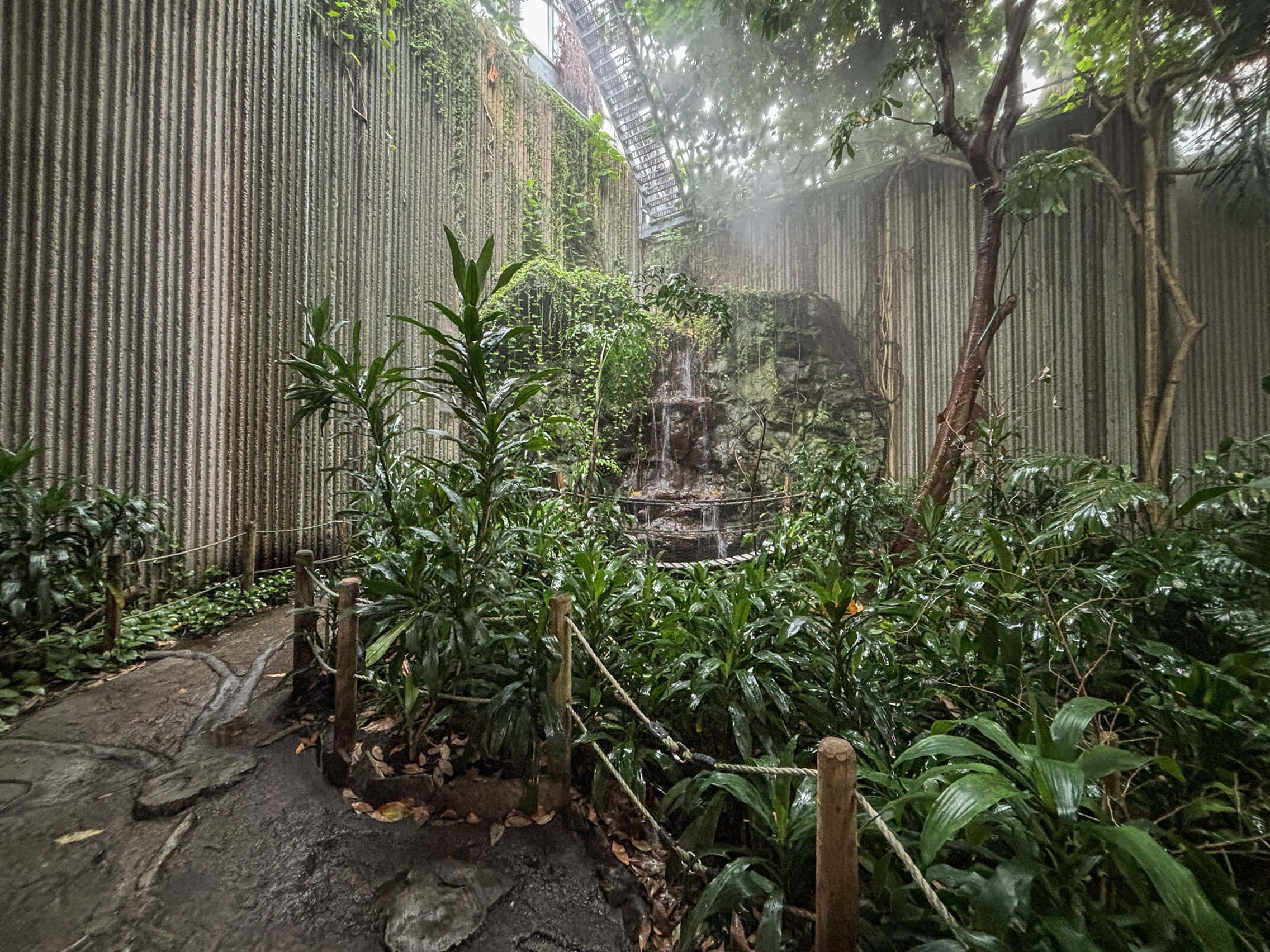 Ontario Science Centre, rainforest exhibit, misty indoor jungle oasis, Full HD Desktop Wallpaper