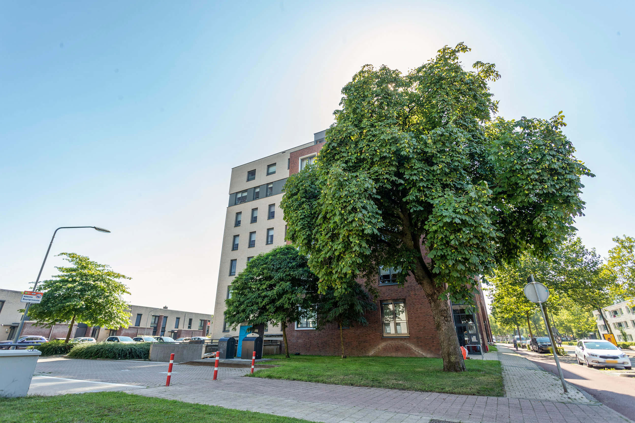 Oosterhout, urban tree, apartment building, Full HD Desktop Wallpaper