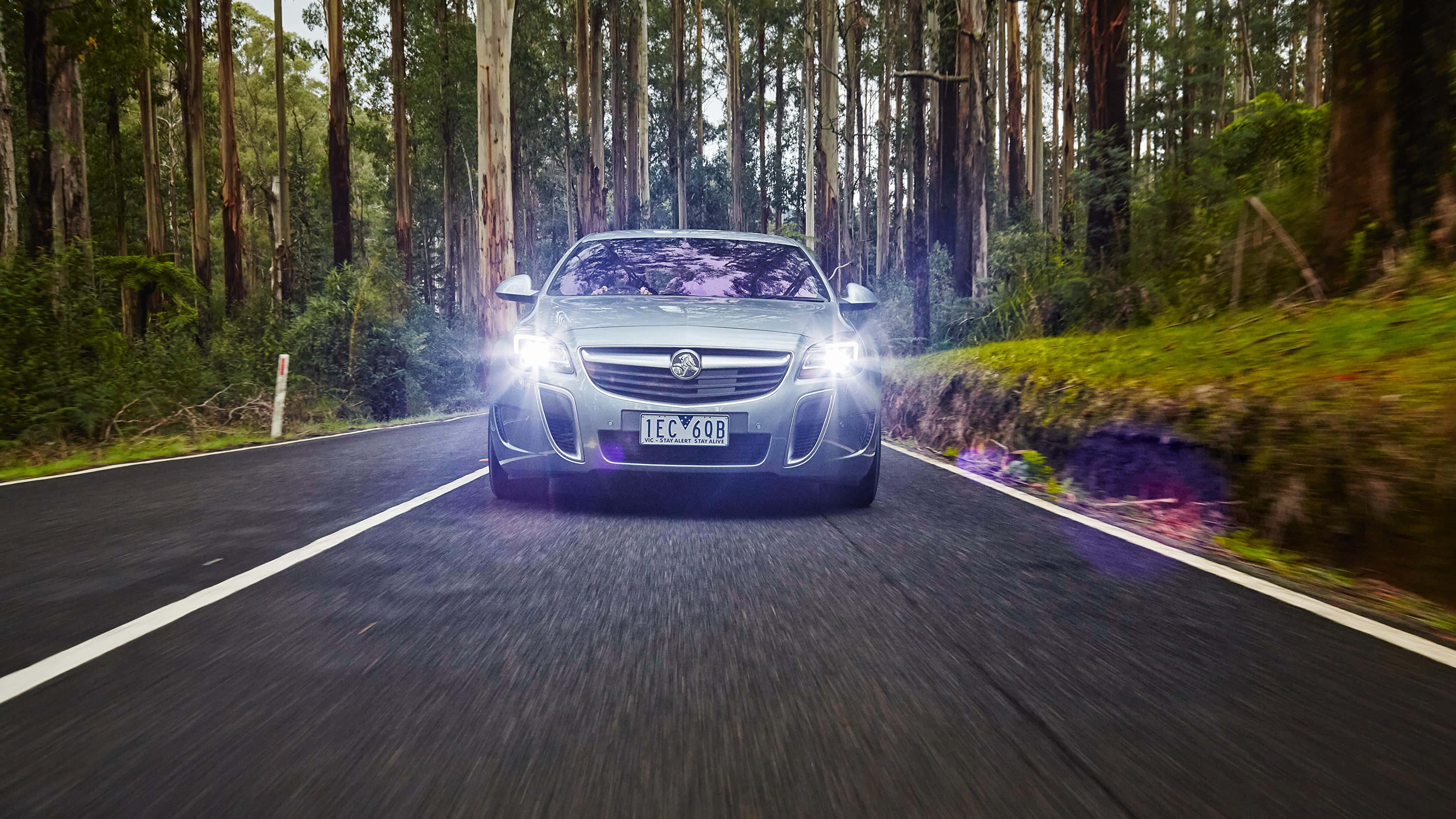 Opel Insignia, silver, forest-lined road, 4K Desktop Wallpaper