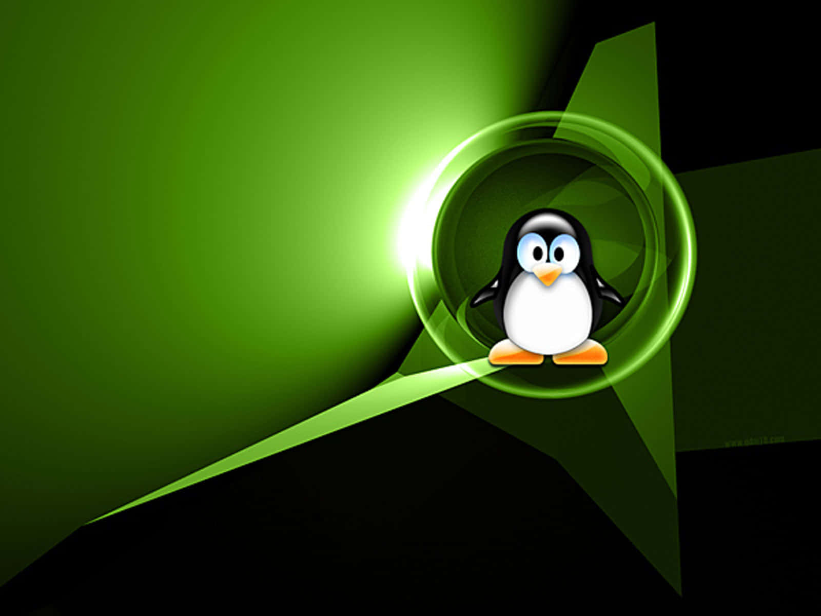 Operating System, cartoon penguin, glowing green circular portal, HD Desktop Wallpaper