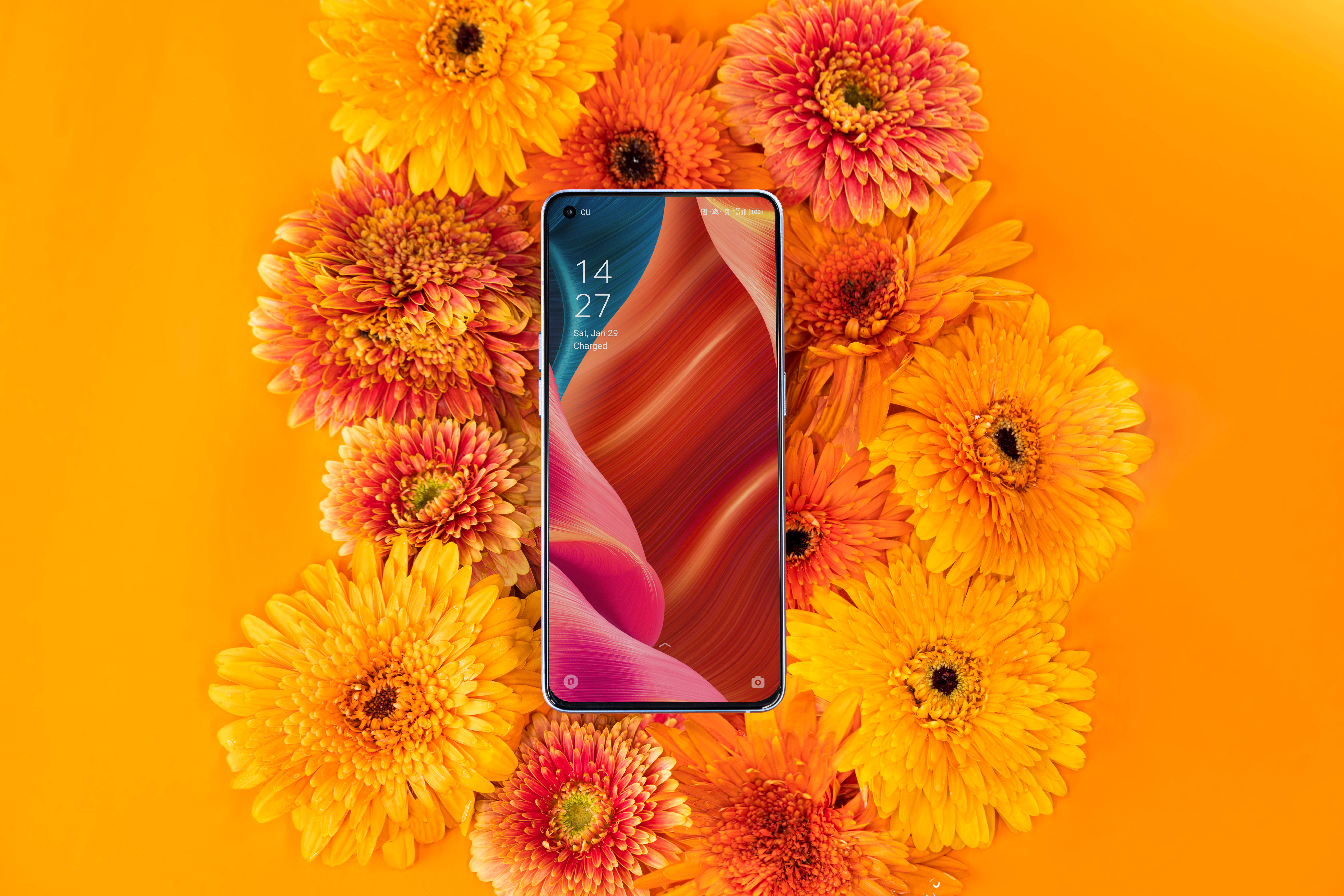 Oppo smartphone, swirling red and pink wallpaper, orange and yellow gerbera daisies, 8K Desktop Wallpaper
