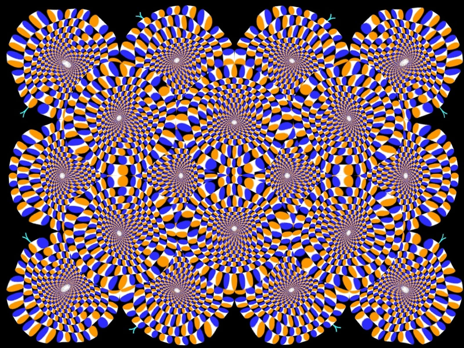 blue, orange, white, HD Desktop Wallpaper