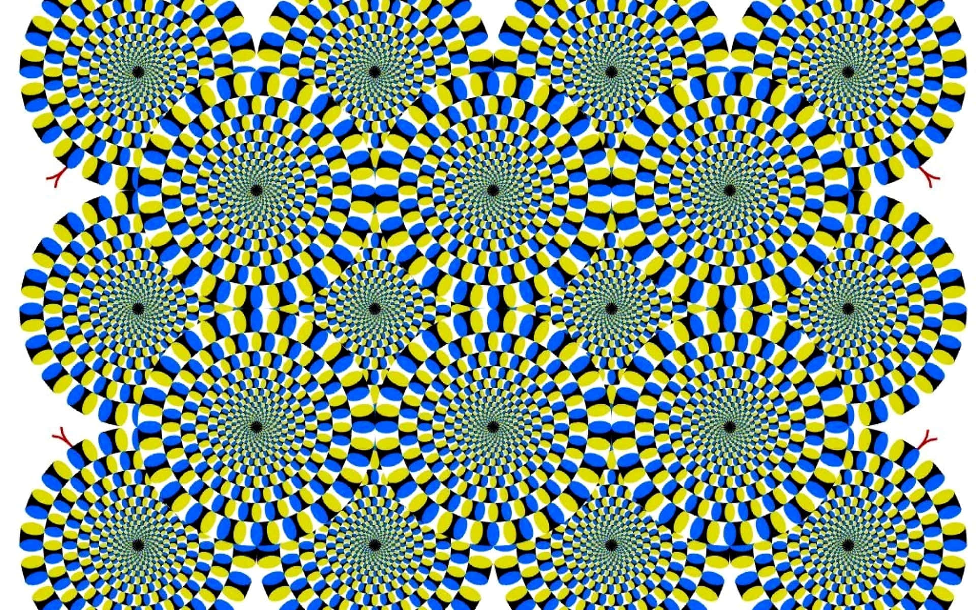 Green Cool Optical Illusions Spiraling, blue yellow spiral patterns, hypnotic vortex effect, Full HD Desktop Wallpaper