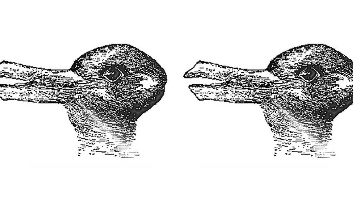 duck, rabbit, black and white etching, SD Desktop Wallpaper
