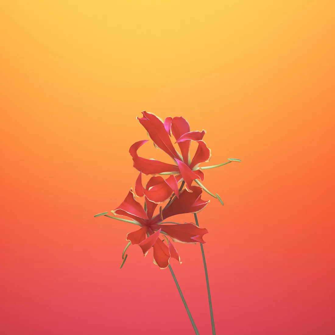 Orange Aesthetic Phone