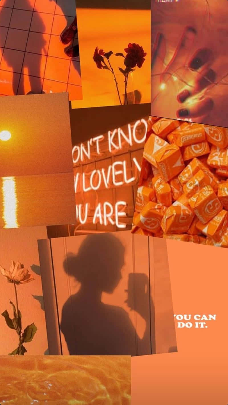 orange aesthetic phone, orange hues, roses, HD Phone Wallpaper