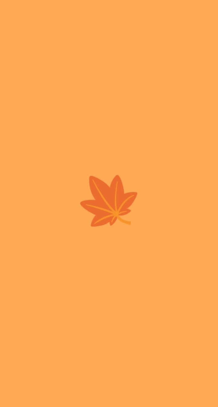 orange aesthetic phone, orange maple leaf, warm orange background, HD Phone Wallpaper