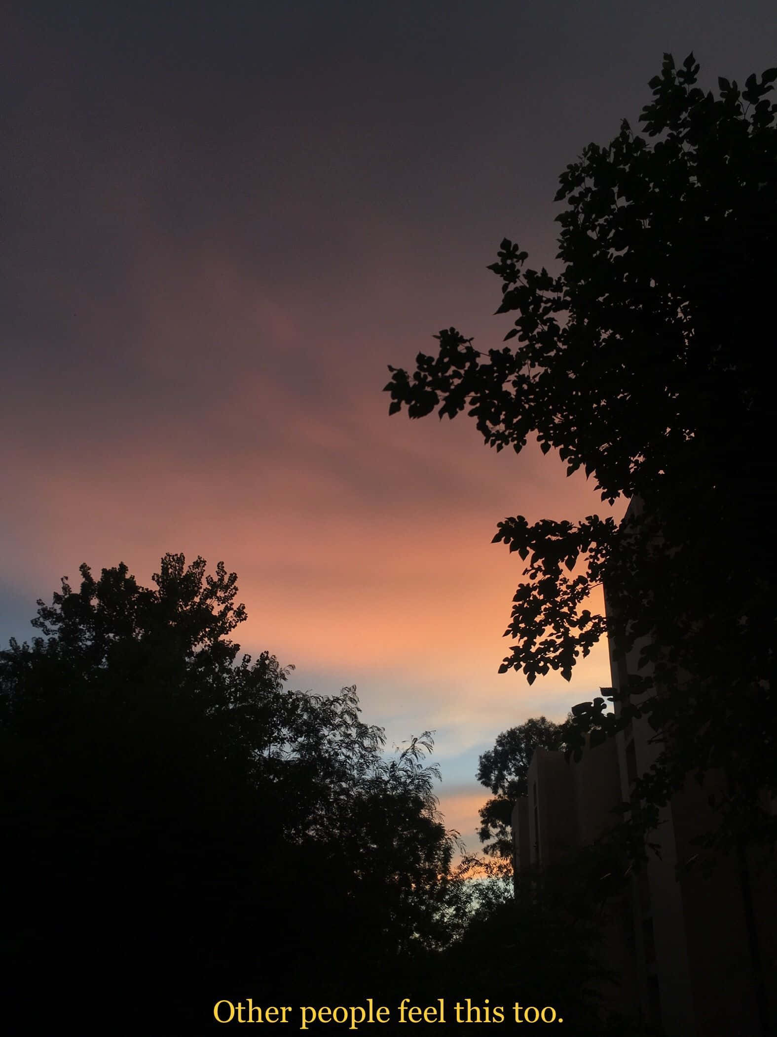 vintage grunge aesthetic, twilight sky, orange, Full HD Phone Wallpaper