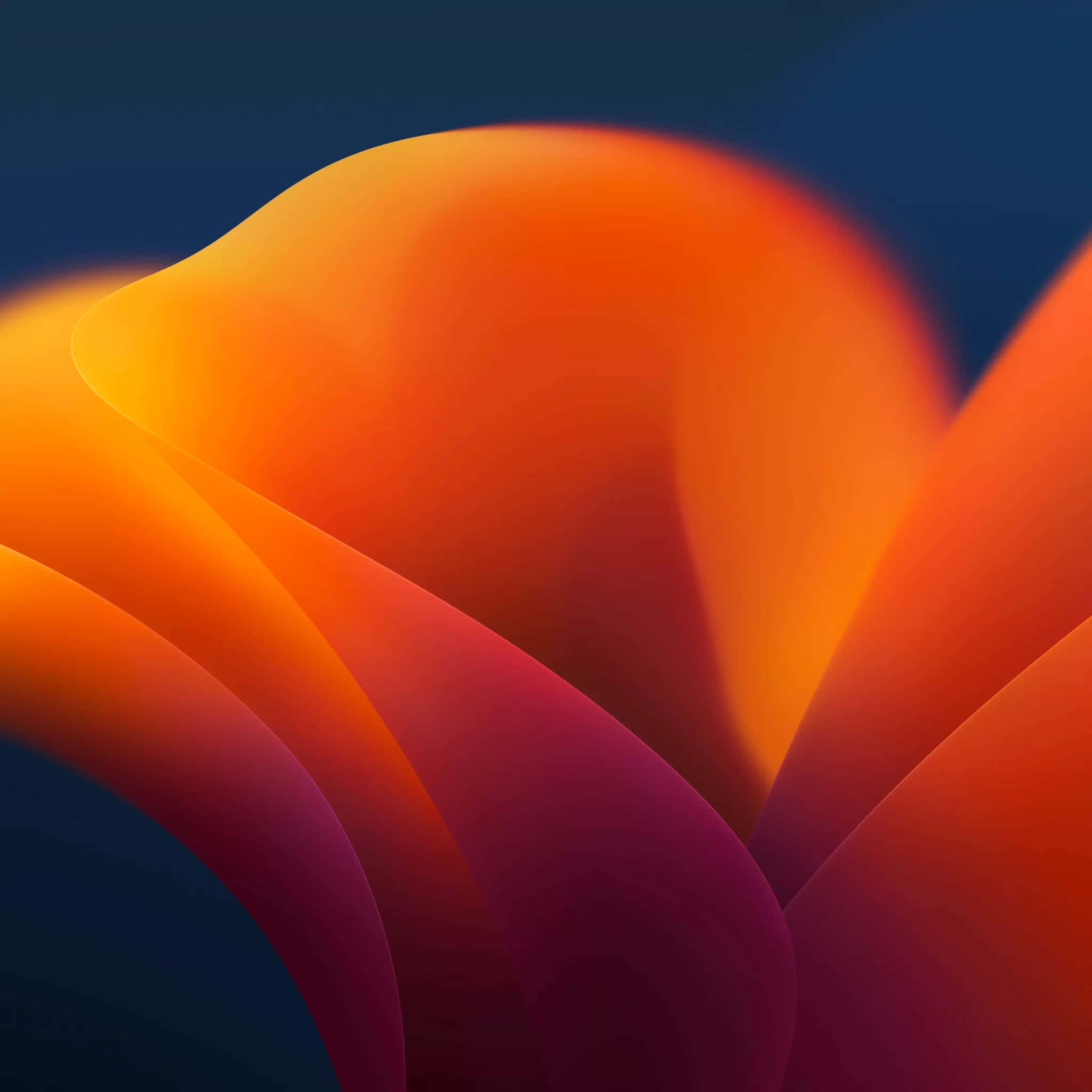Orange And Teal, vibrant orange, magenta, Full HD Desktop Wallpaper