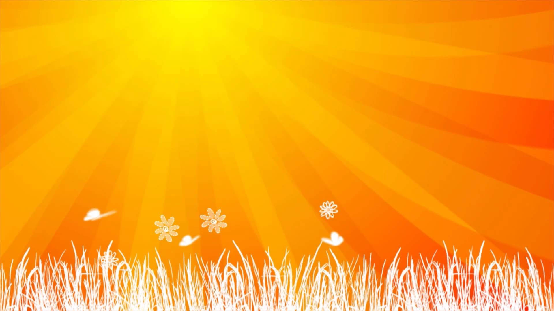 orange gradient, sunburst, white grass, Full HD Desktop Wallpaper