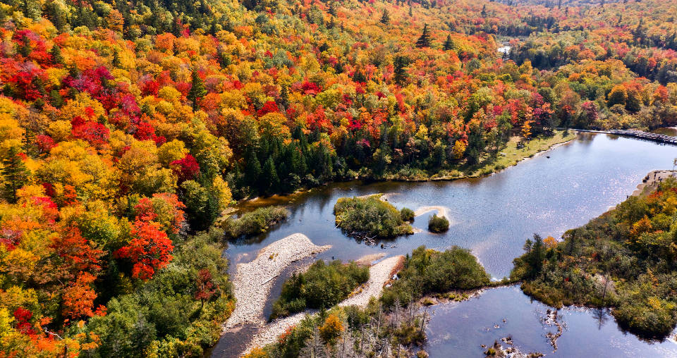 autumn, winding river, dense forest, SD Desktop Wallpaper