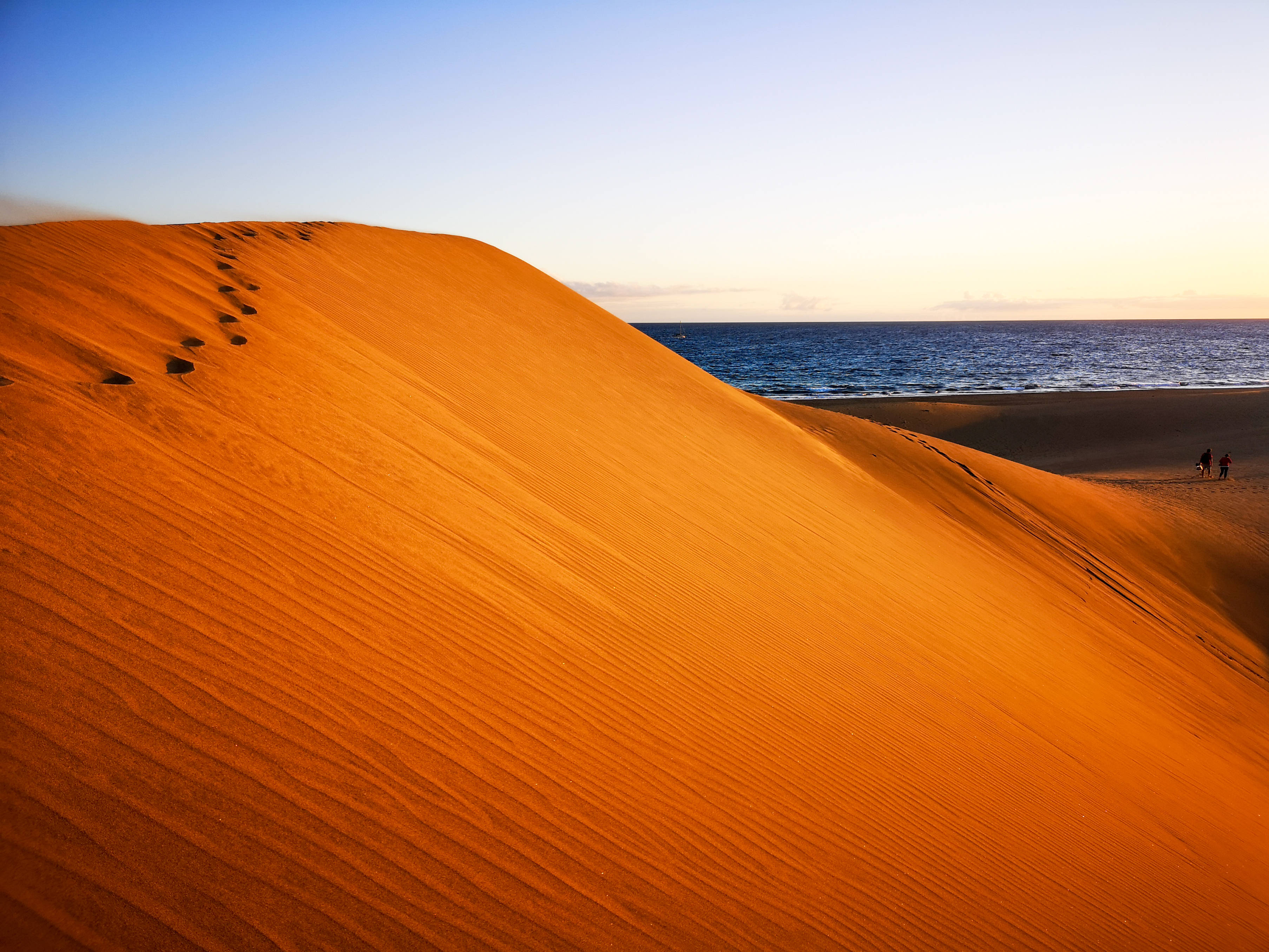 Orange And Yellow Sand Dunes, golden sand dunes, calm ocean, 2K Desktop Wallpaper