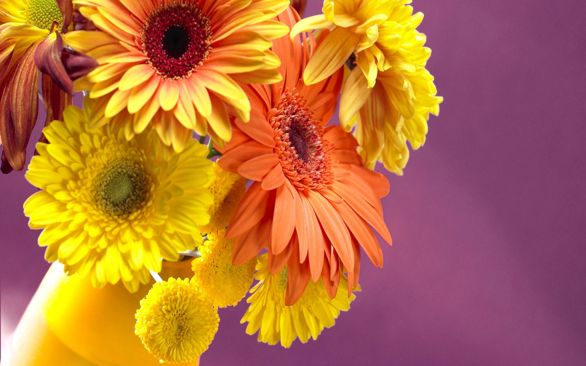orange and yellow flower bouquet, gerbera daisies, yellow vase, Full HD Desktop Wallpaper