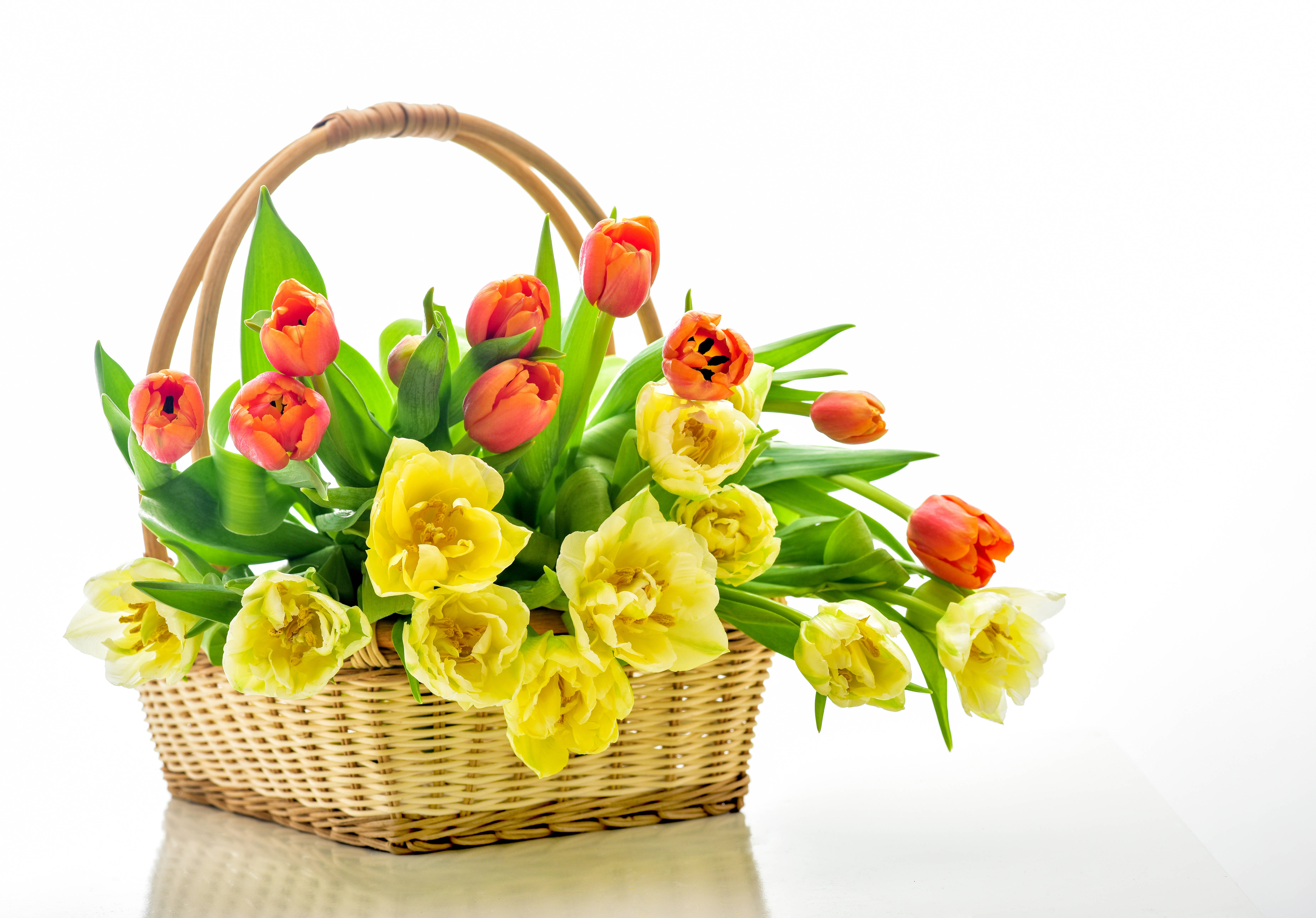 orange and yellow tulips, woven basket, vibrant yellow, 5K Desktop Wallpaper