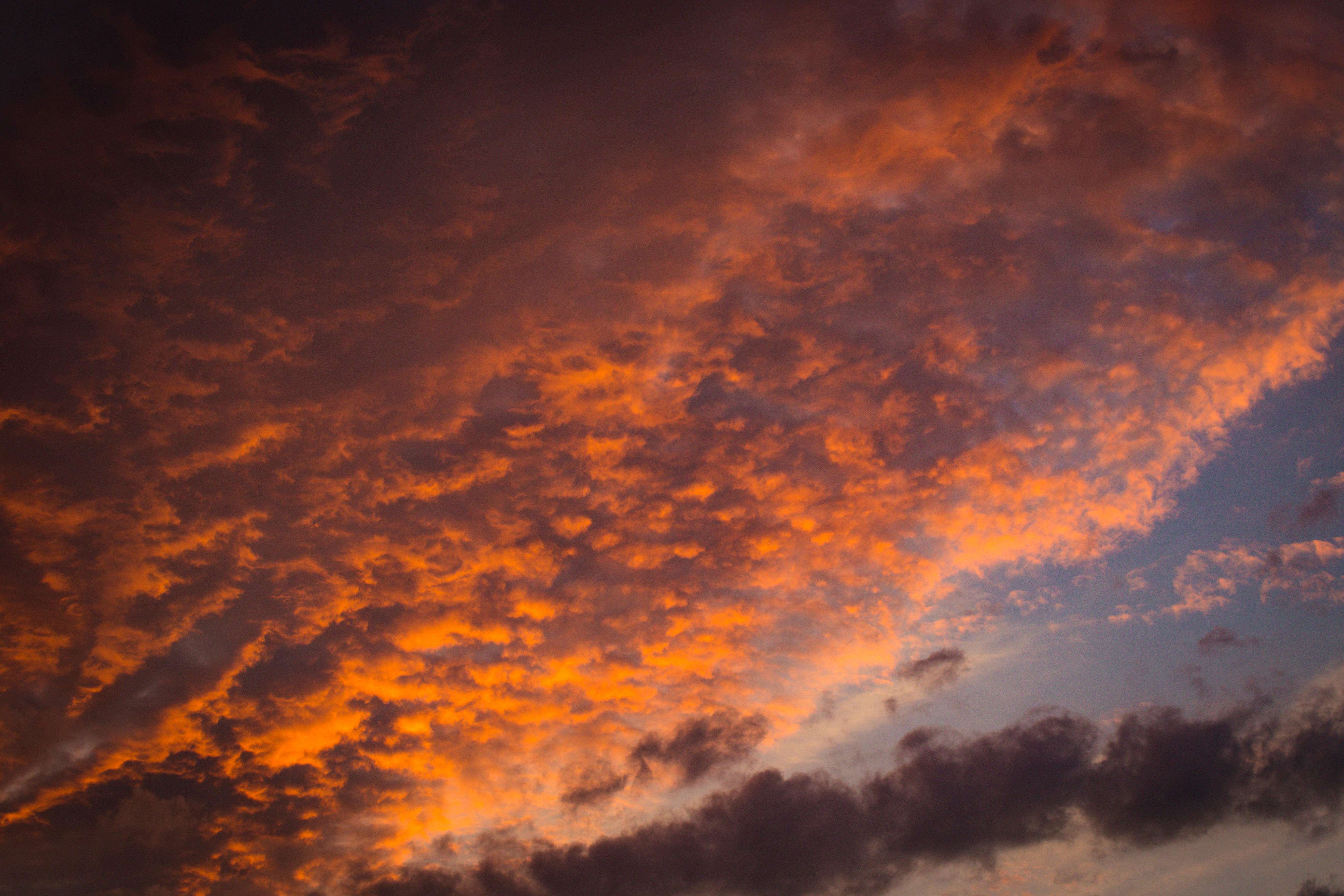 orange sky, golden hour, sunset clouds, 5K Desktop Wallpaper