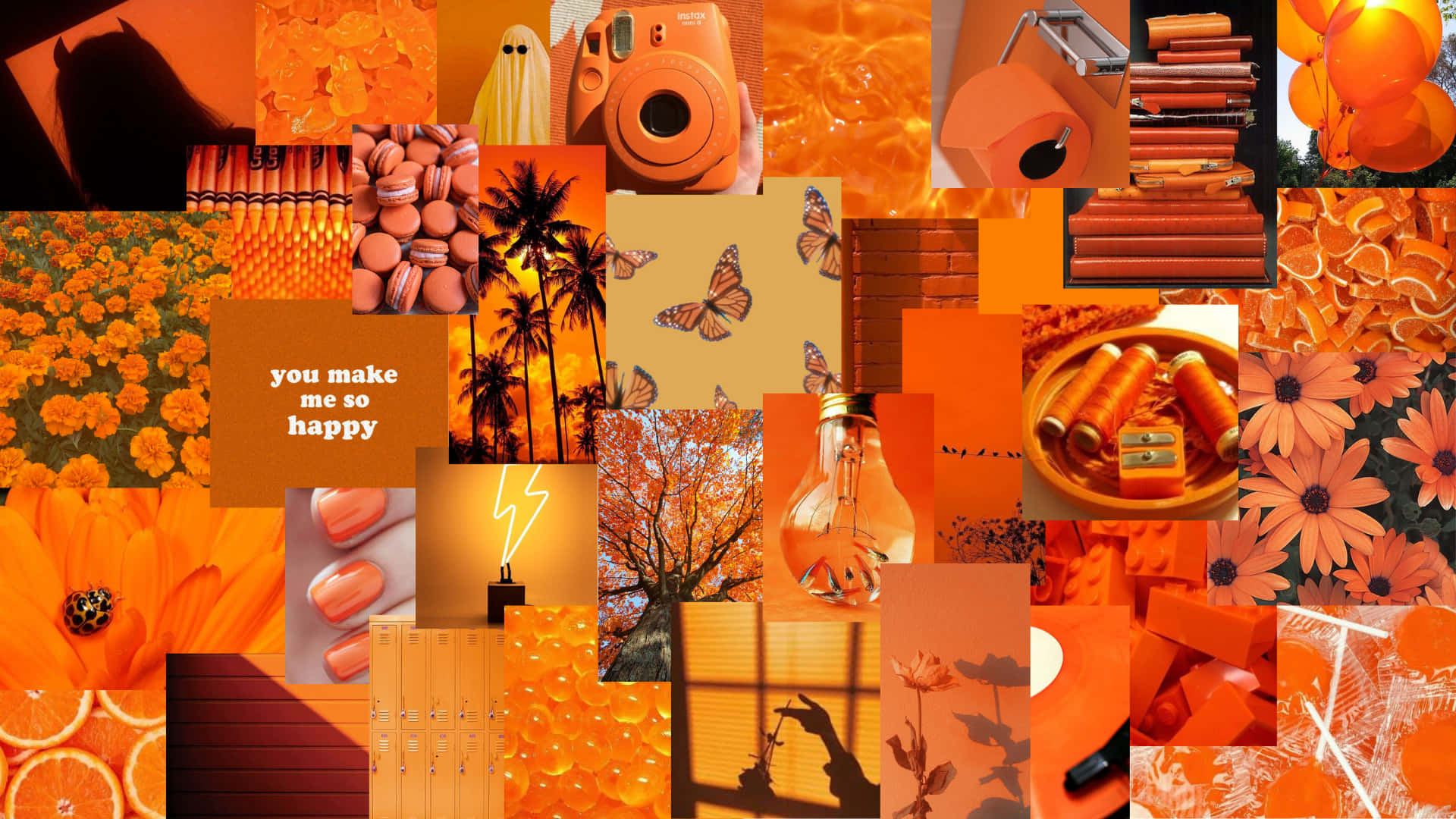 orange desktop, vibrant orange, flowers, Full HD Desktop Wallpaper