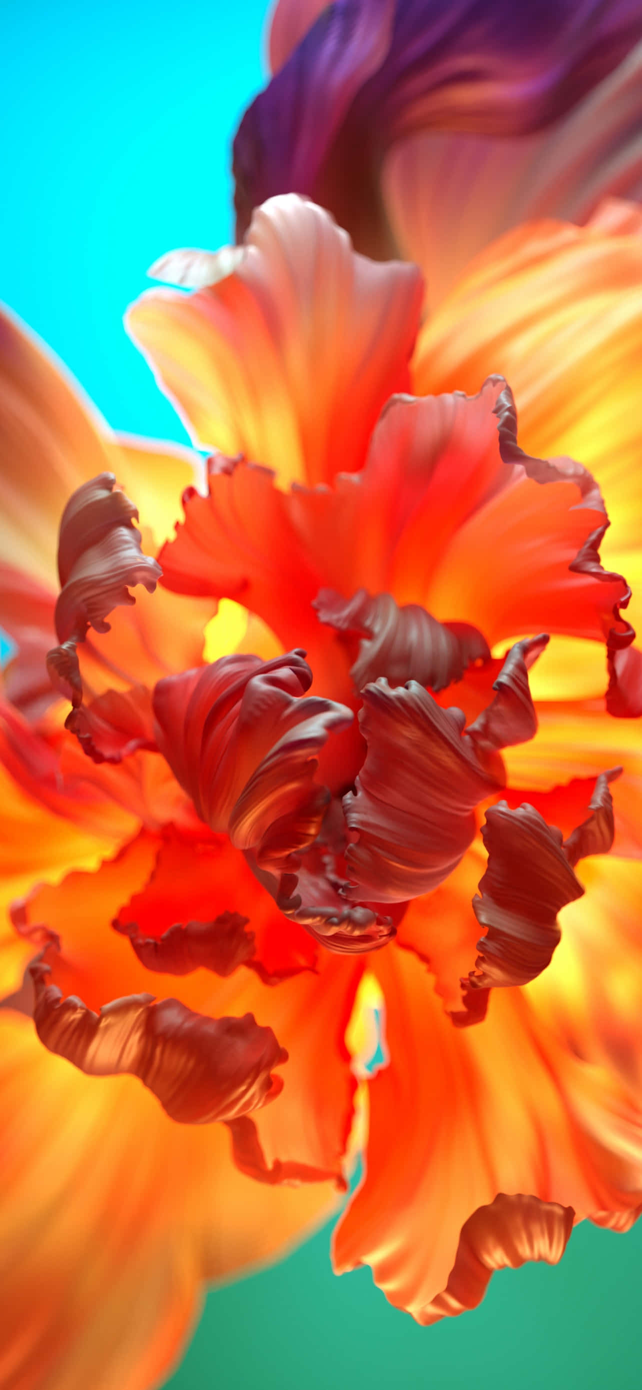 floral orange flower, fiery orange petals, deep purple swirls, 2K Phone Wallpaper