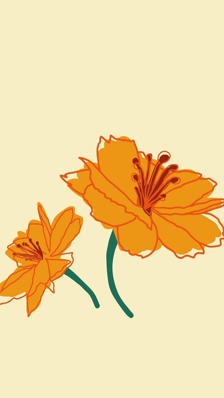 orange floral, exotic orange flowers, dark centers, HD Phone Wallpaper