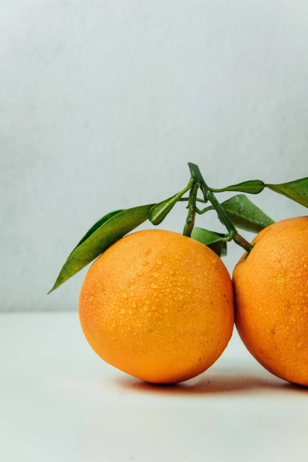 mandarin orange, citrus fruit, dew-kissed, HD Phone Wallpaper