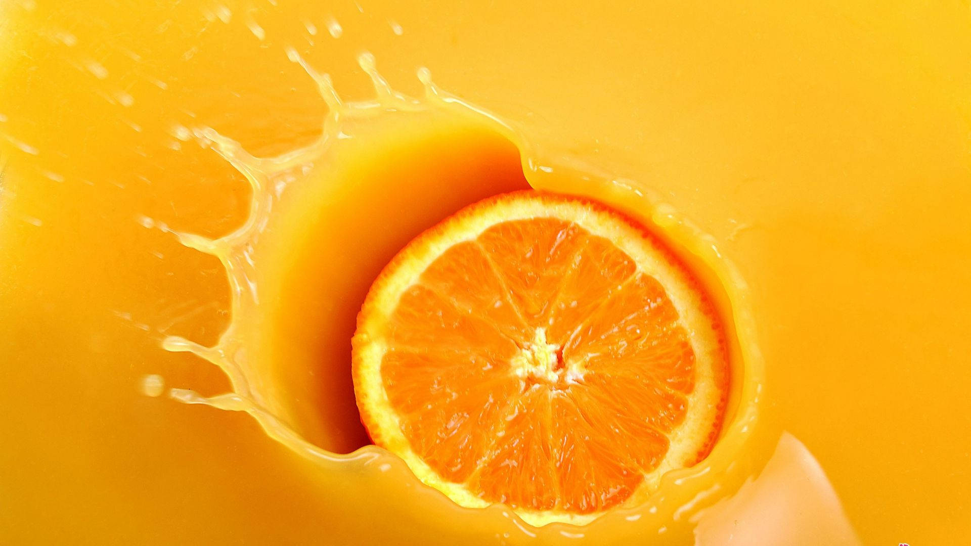 orange fruit, juice, vibrant orange, Full HD Desktop Wallpaper
