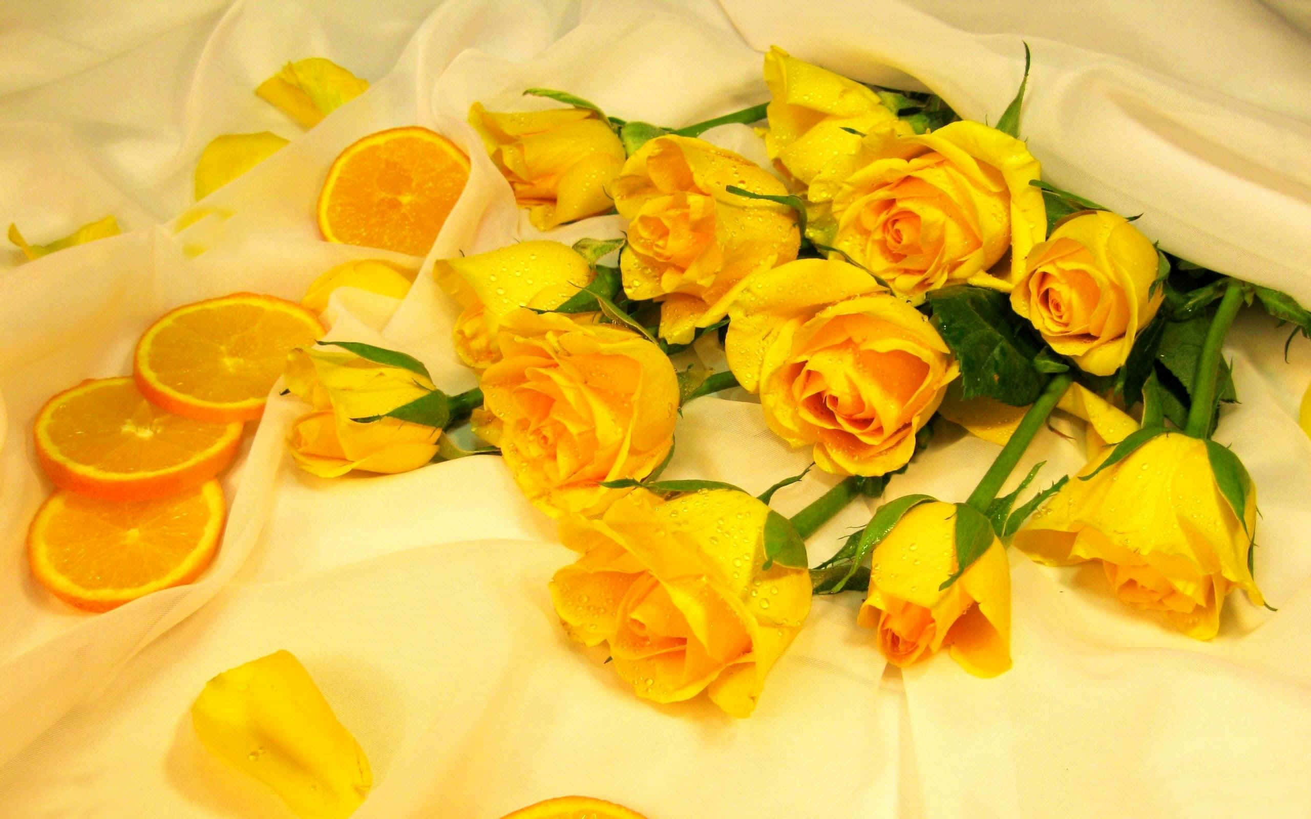 yellow aesthetic desktop, vibrant yellow roses, orange slices, 2K Desktop Wallpaper