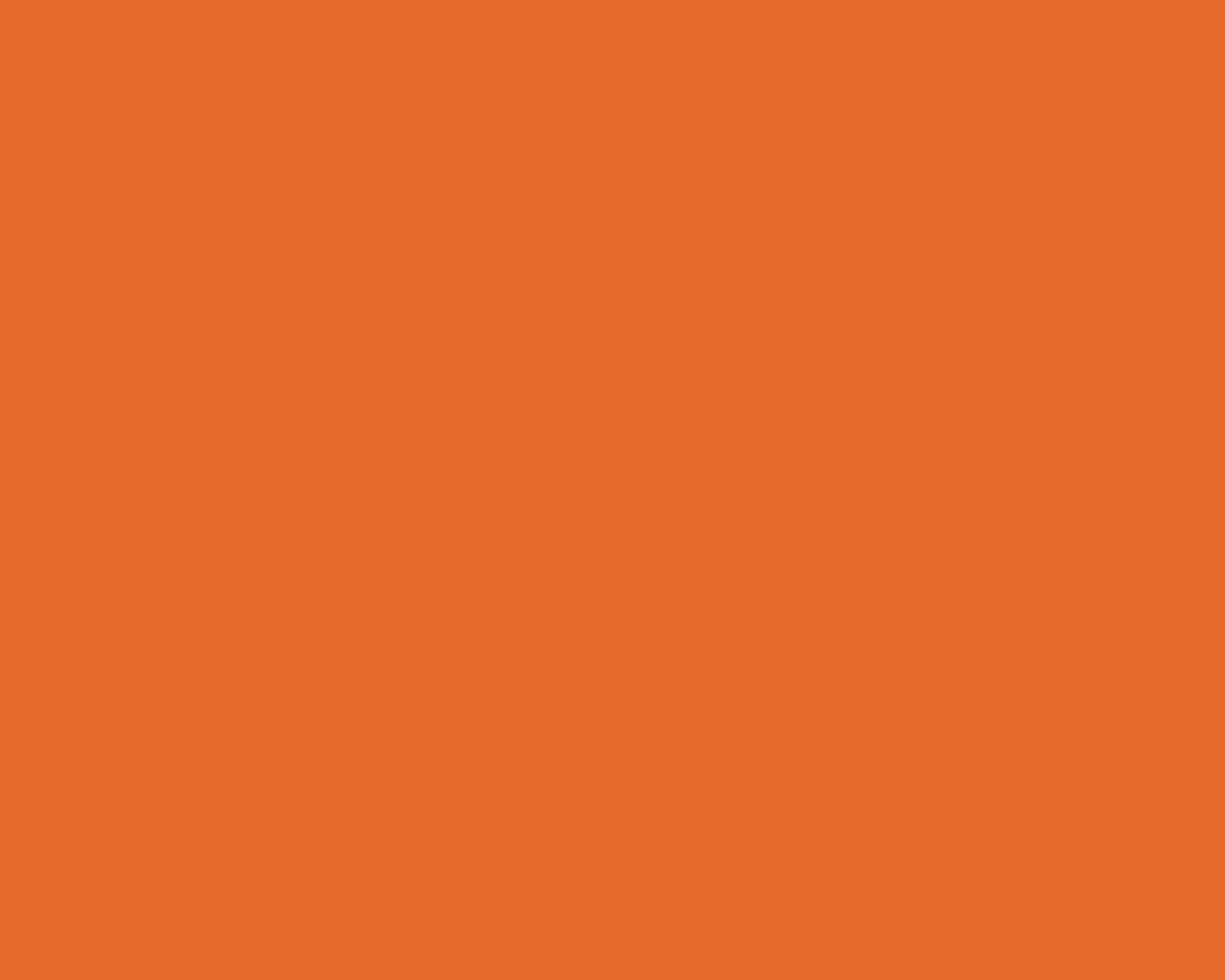 burnt orange, solid background, warm orange, HD Desktop Wallpaper