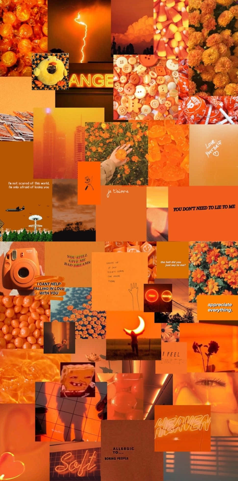 Orange Grunge Aesthetic, vibrant orange-toned, flowers, Full HD Phone Wallpaper