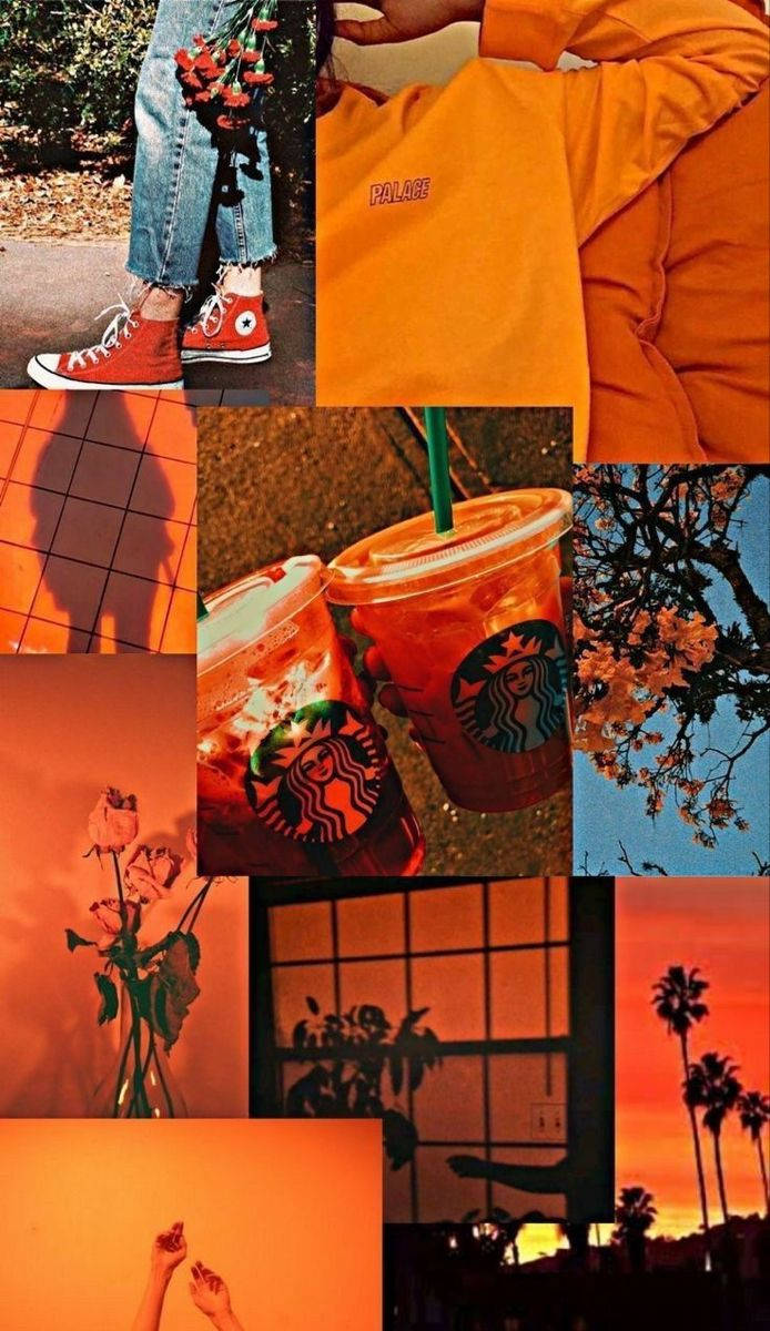 Orange Floral Aesthetic Collage, vibrant orange, warm sunset hues, SD Phone Wallpaper
