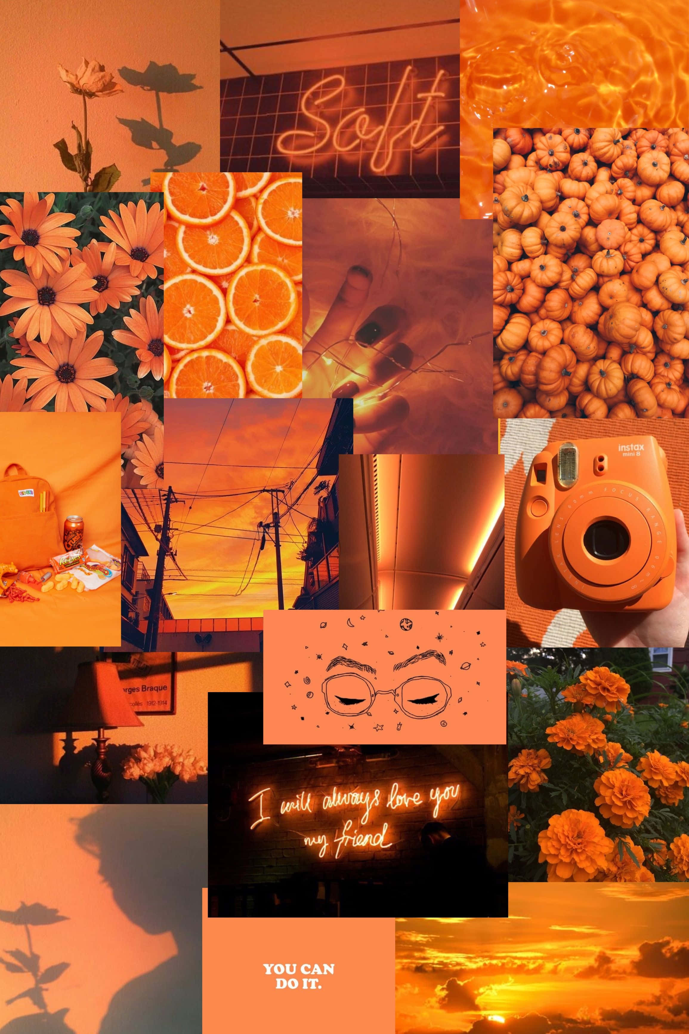 Orange Grunge Aesthetic, orange-toned, flowers, 2K Phone Wallpaper