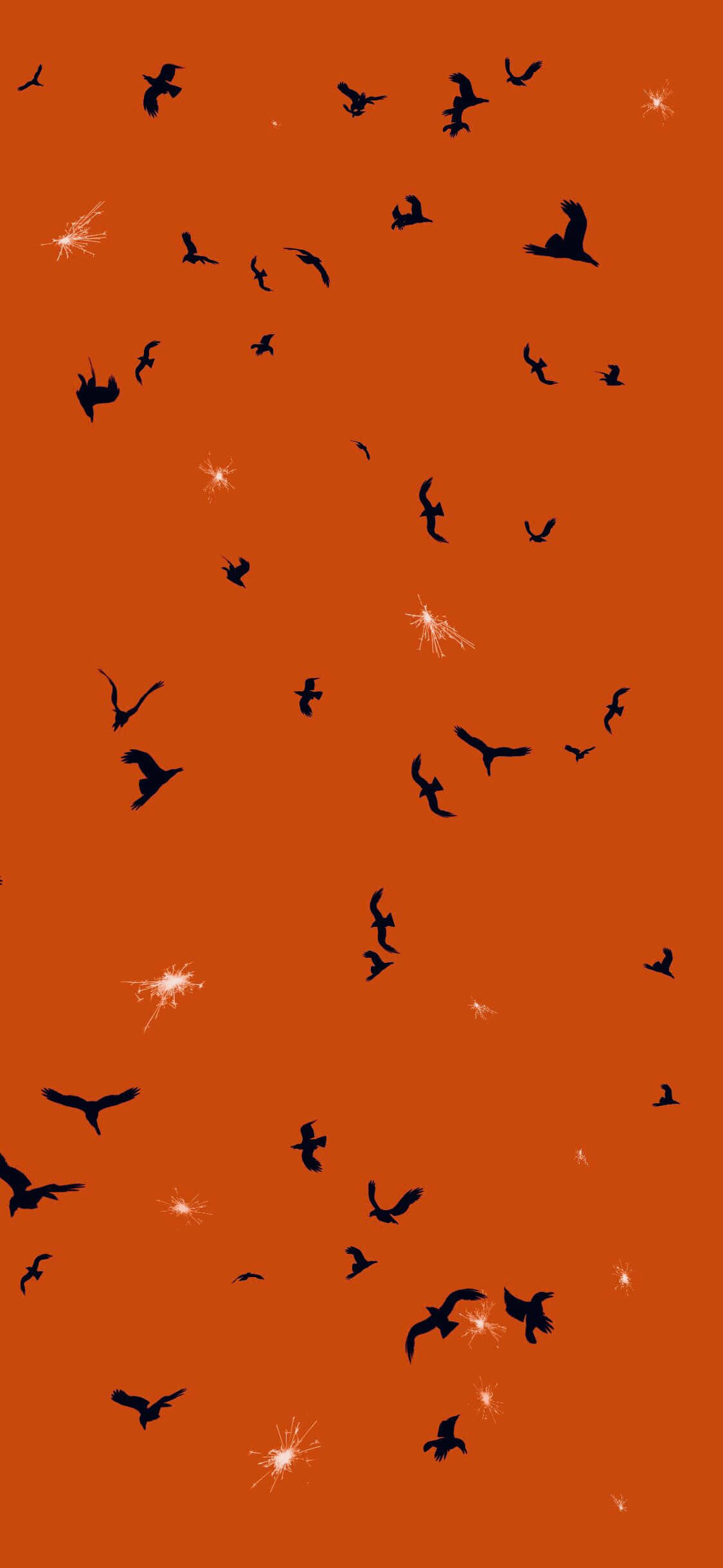 Orange Halloween, black bird silhouettes, vibrant orange sky, Full HD Phone Wallpaper