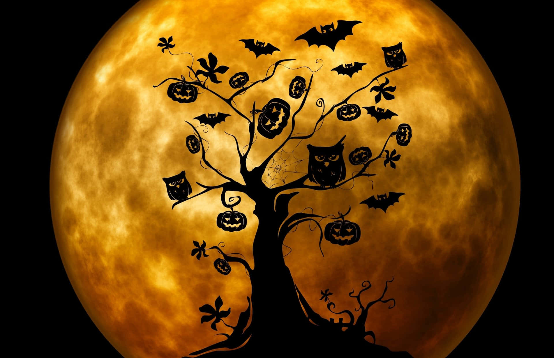 orange halloween, pumpkins, owls, Full HD Desktop Wallpaper