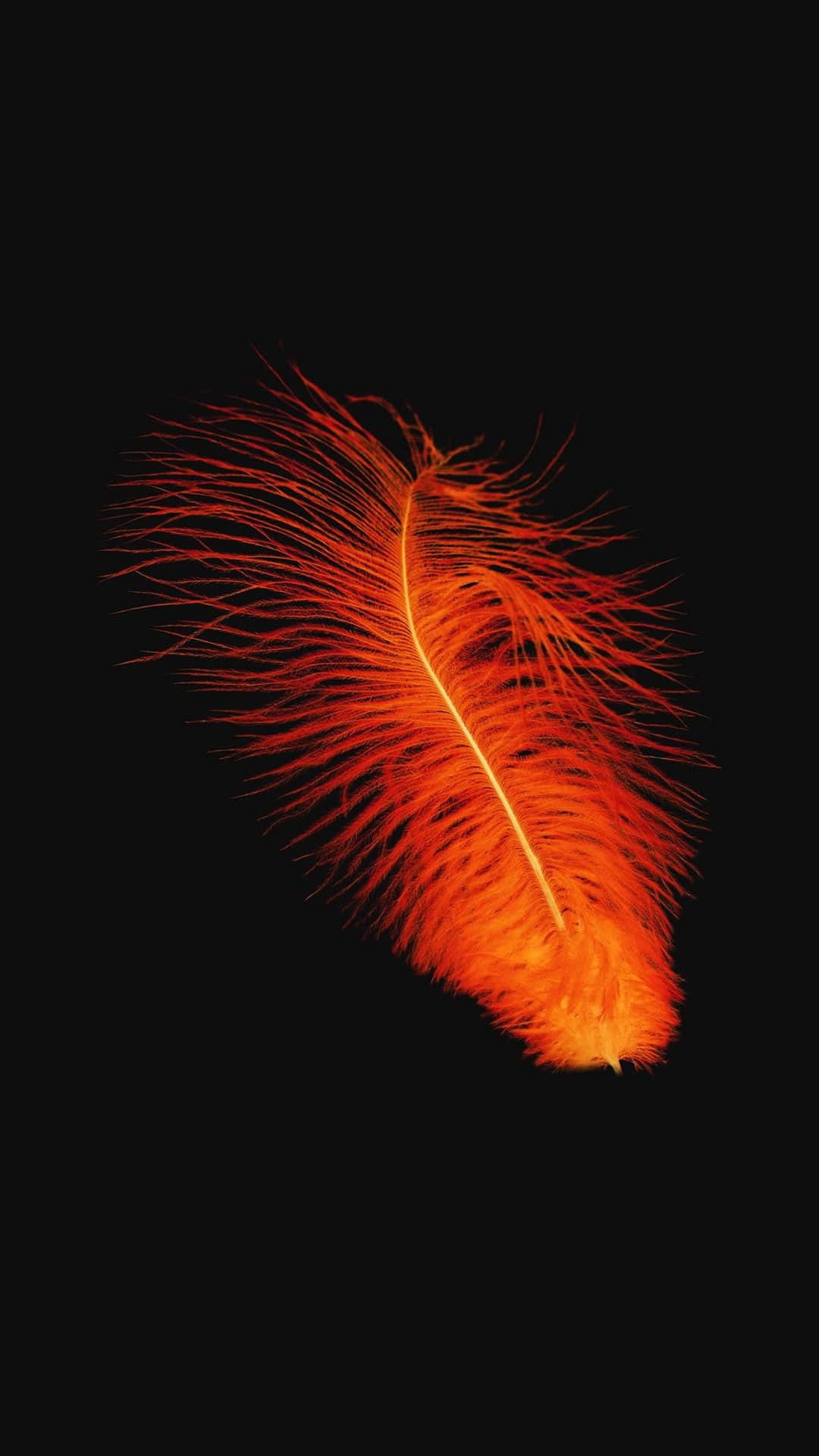 orange feather, fiery orange, black background, Full HD Phone Wallpaper