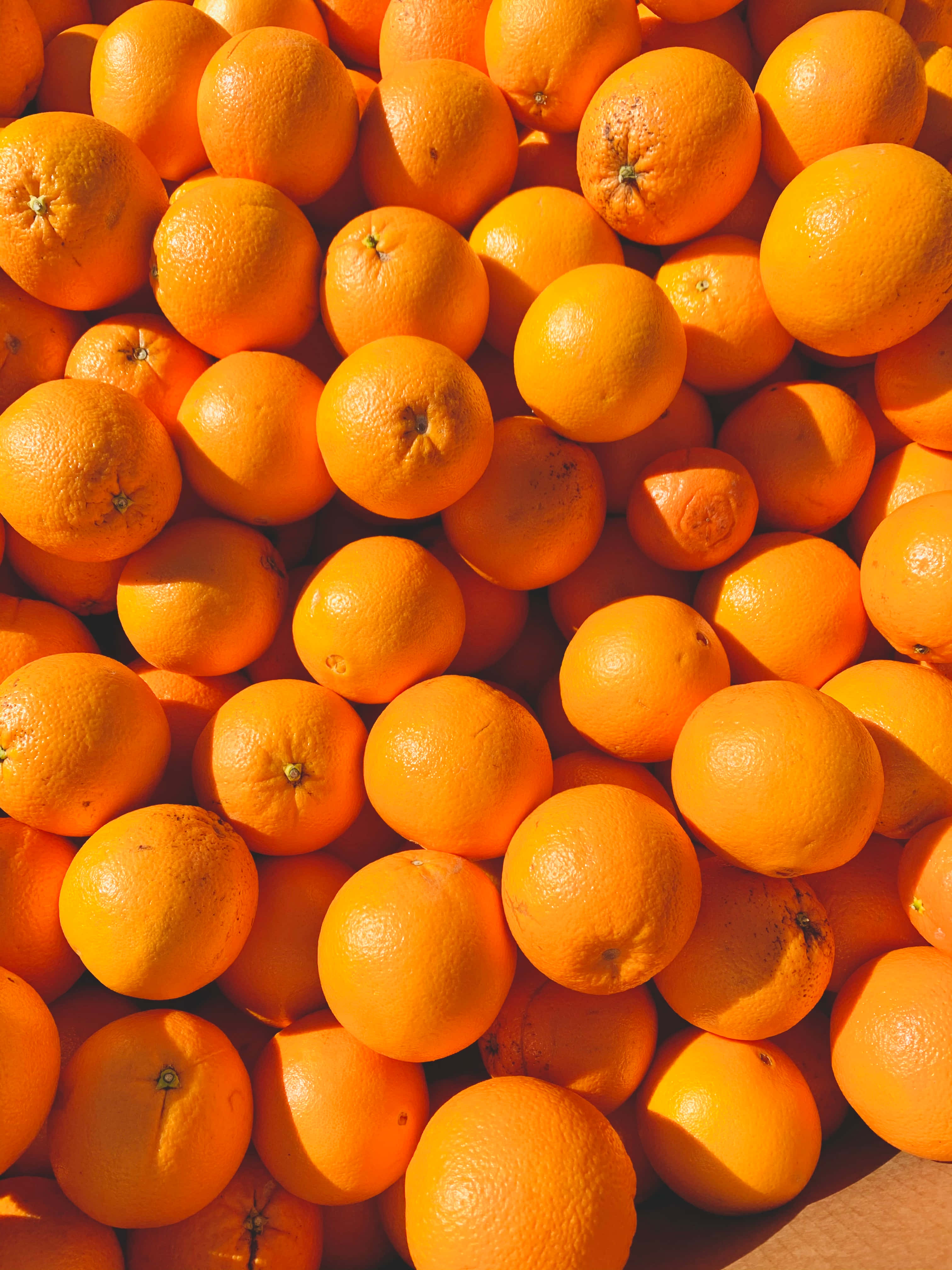 Orange iPhone, sunlit oranges, textured peel, 4K Phone Wallpaper