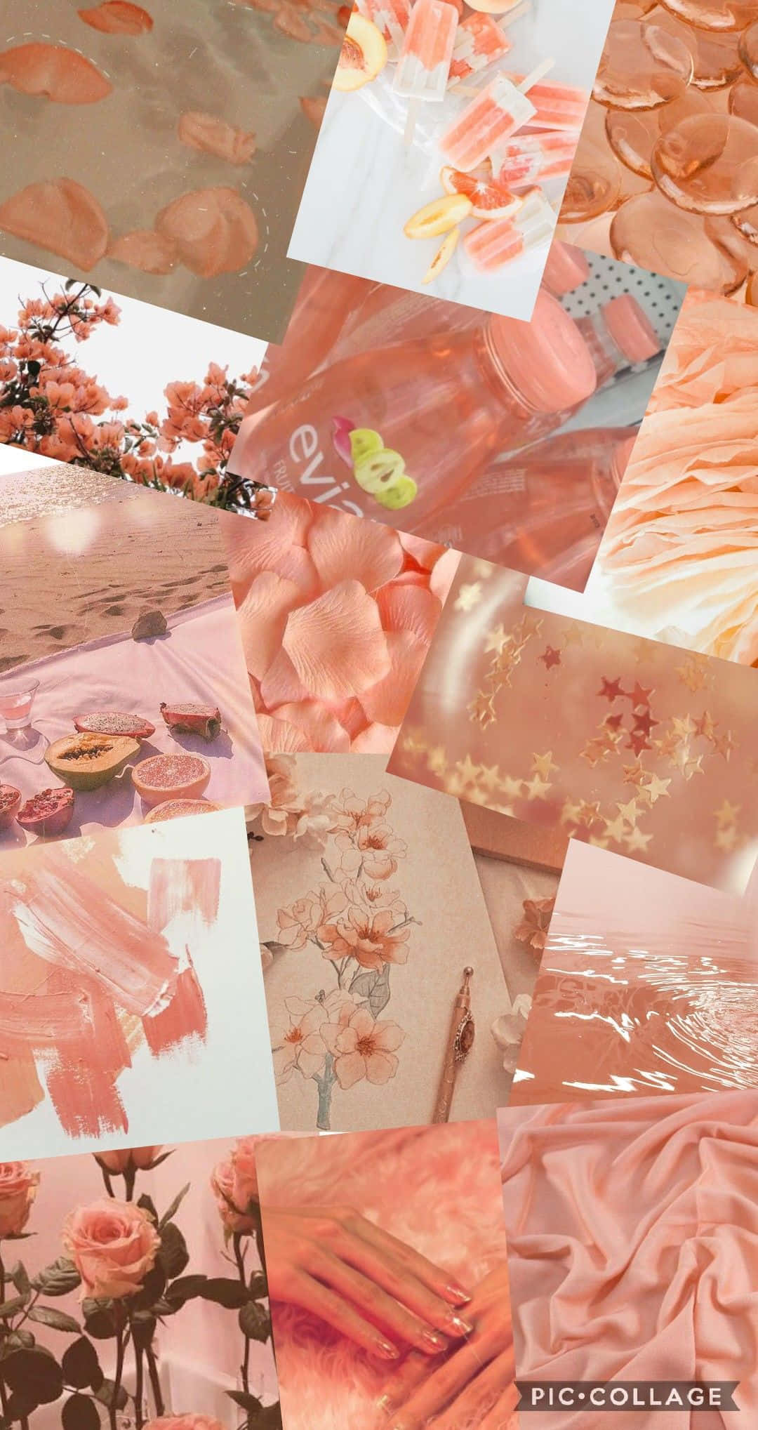 peach pink, roses, collage, Full HD Phone Wallpaper