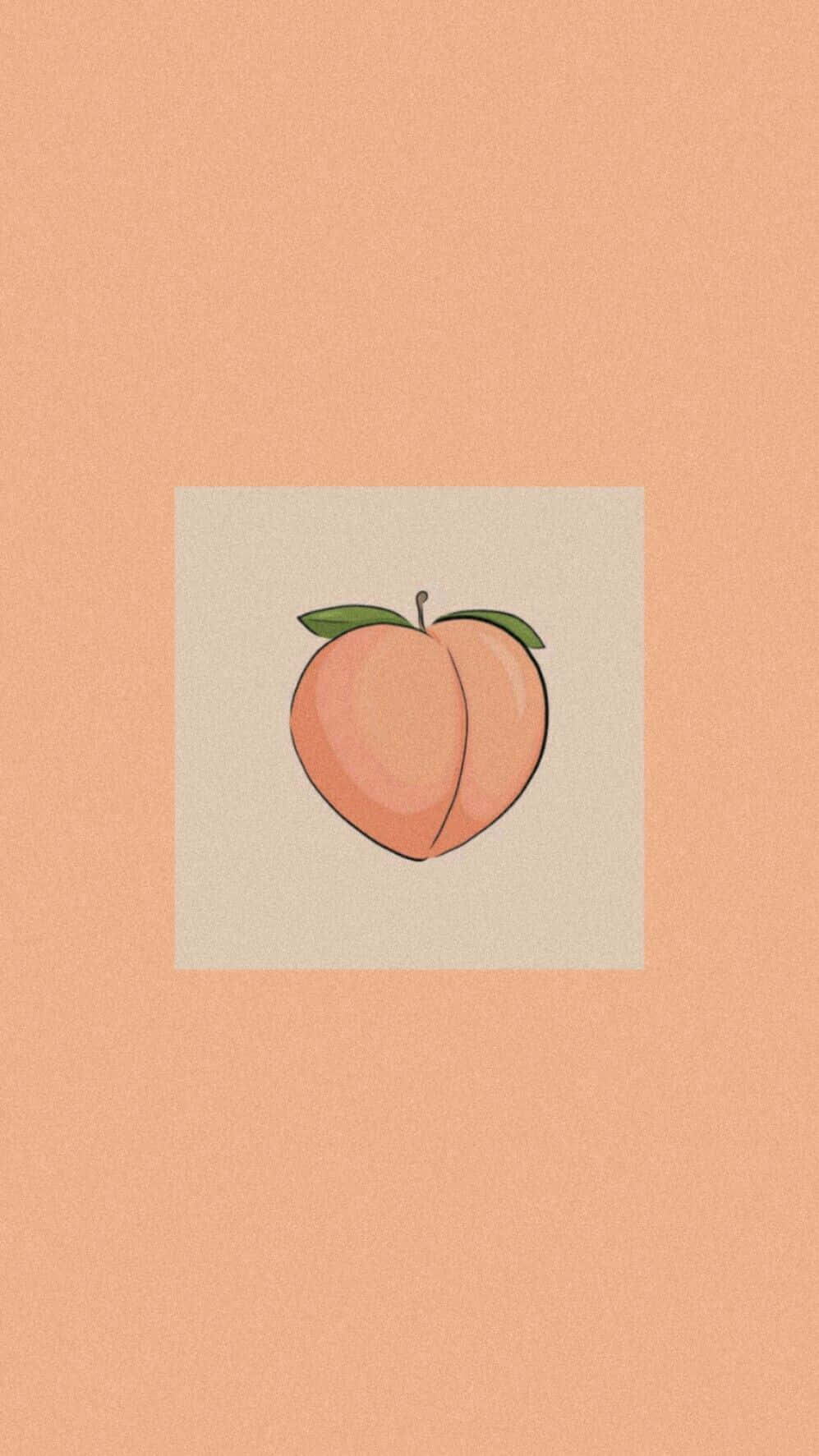 orange peach aesthetic, peach illustration, green leaves, HD Phone Wallpaper
