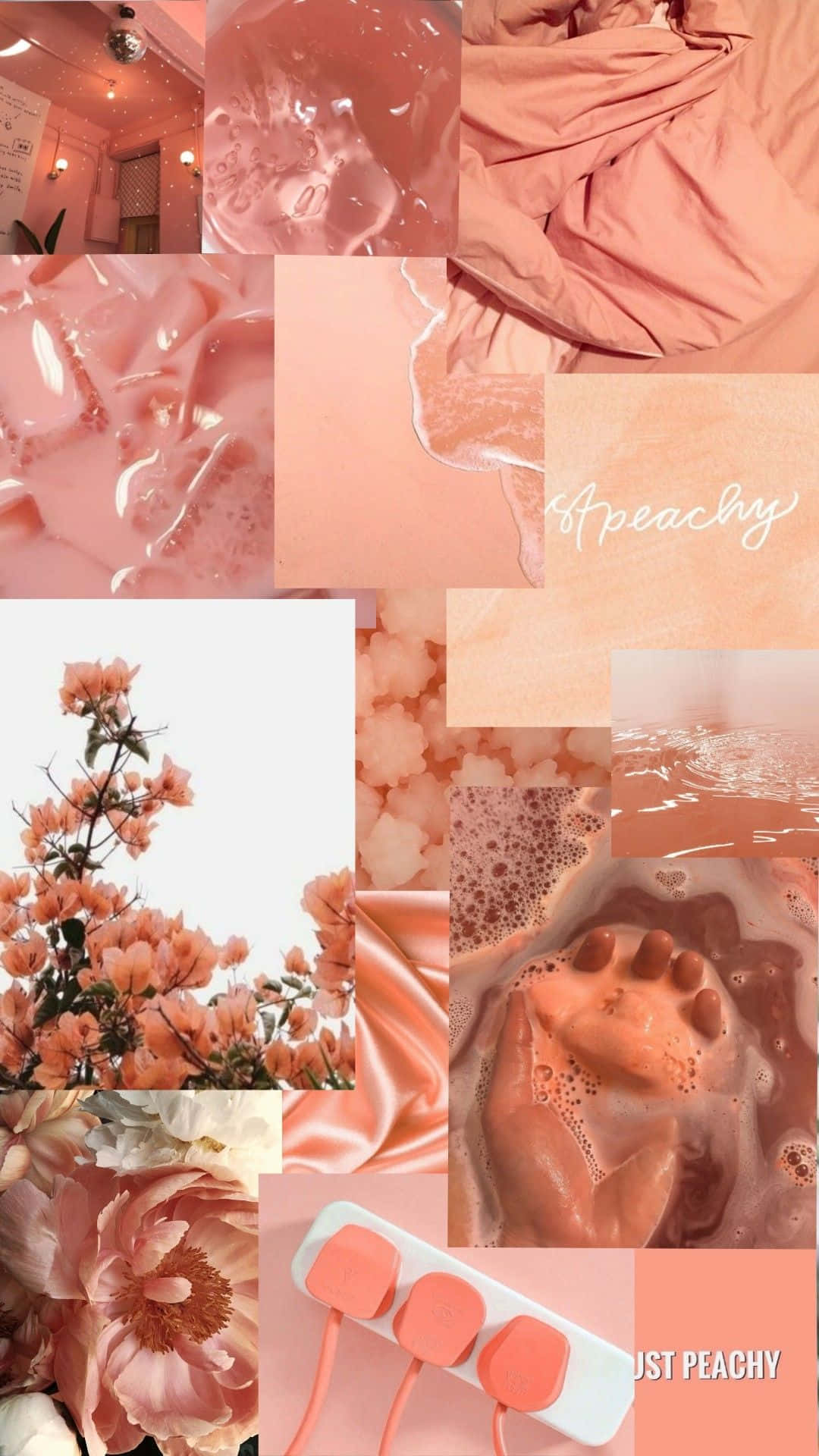 Orange Peach Aesthetic, peach-toned, flowers, Full HD Phone Wallpaper