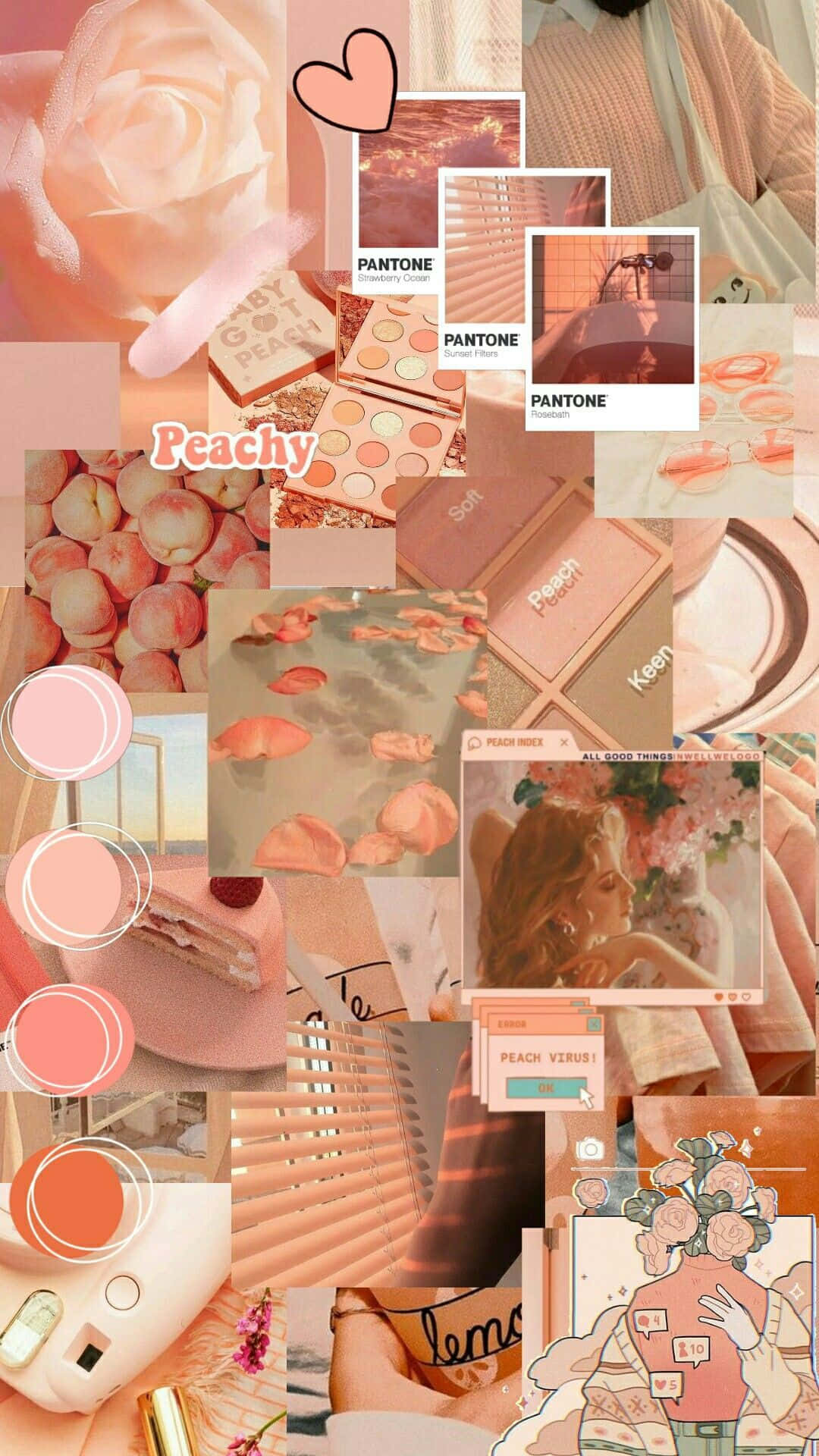 peach-toned, roses, makeup palettes, Full HD Phone Wallpaper