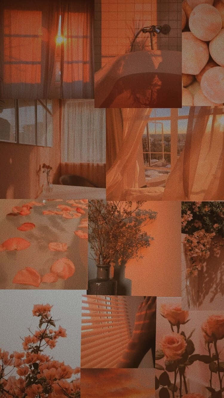 orange peach aesthetic, golden sunset light, serene bathroom, HD Phone Wallpaper