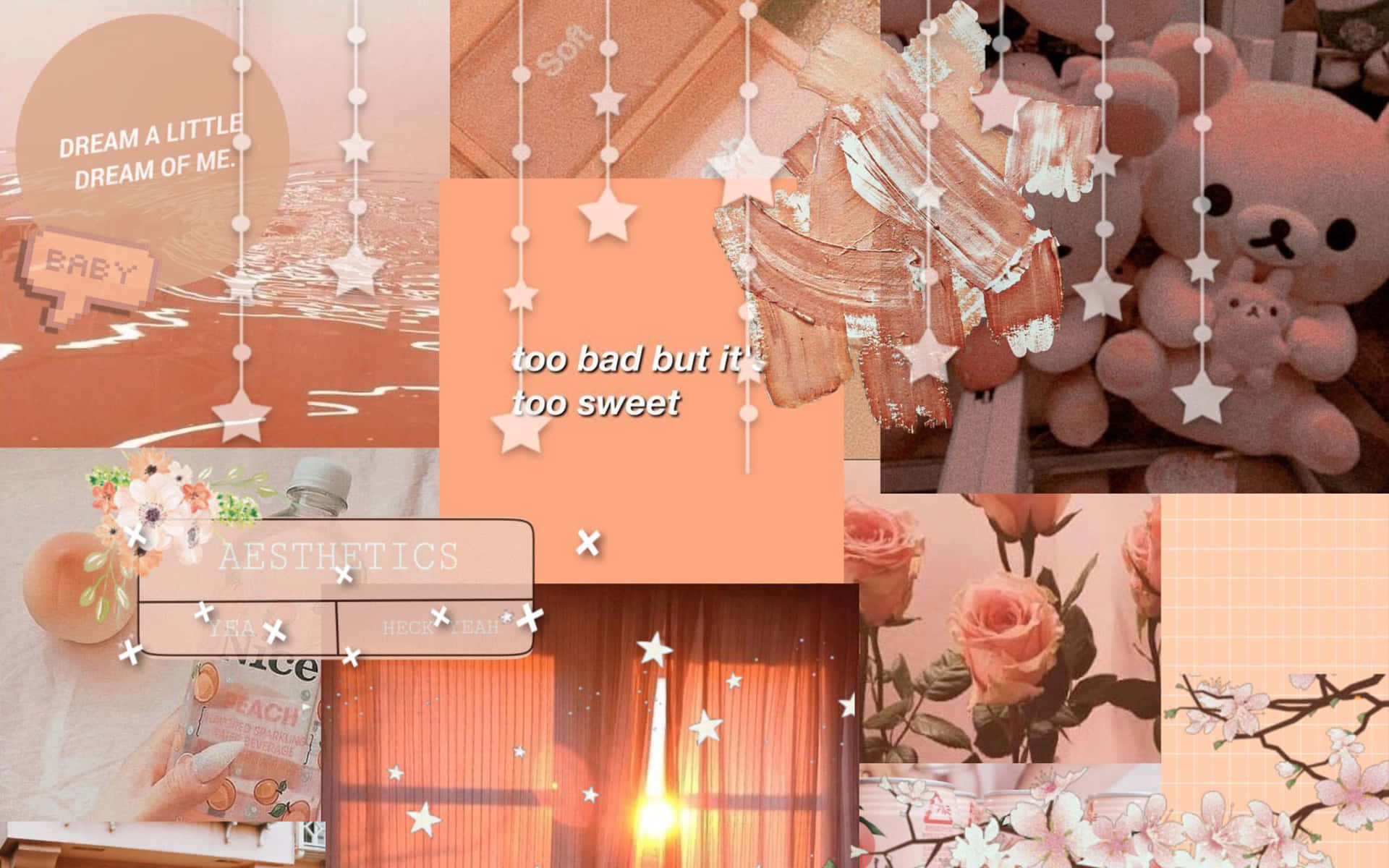 peach-toned, plush toys, roses, Full HD Desktop Wallpaper