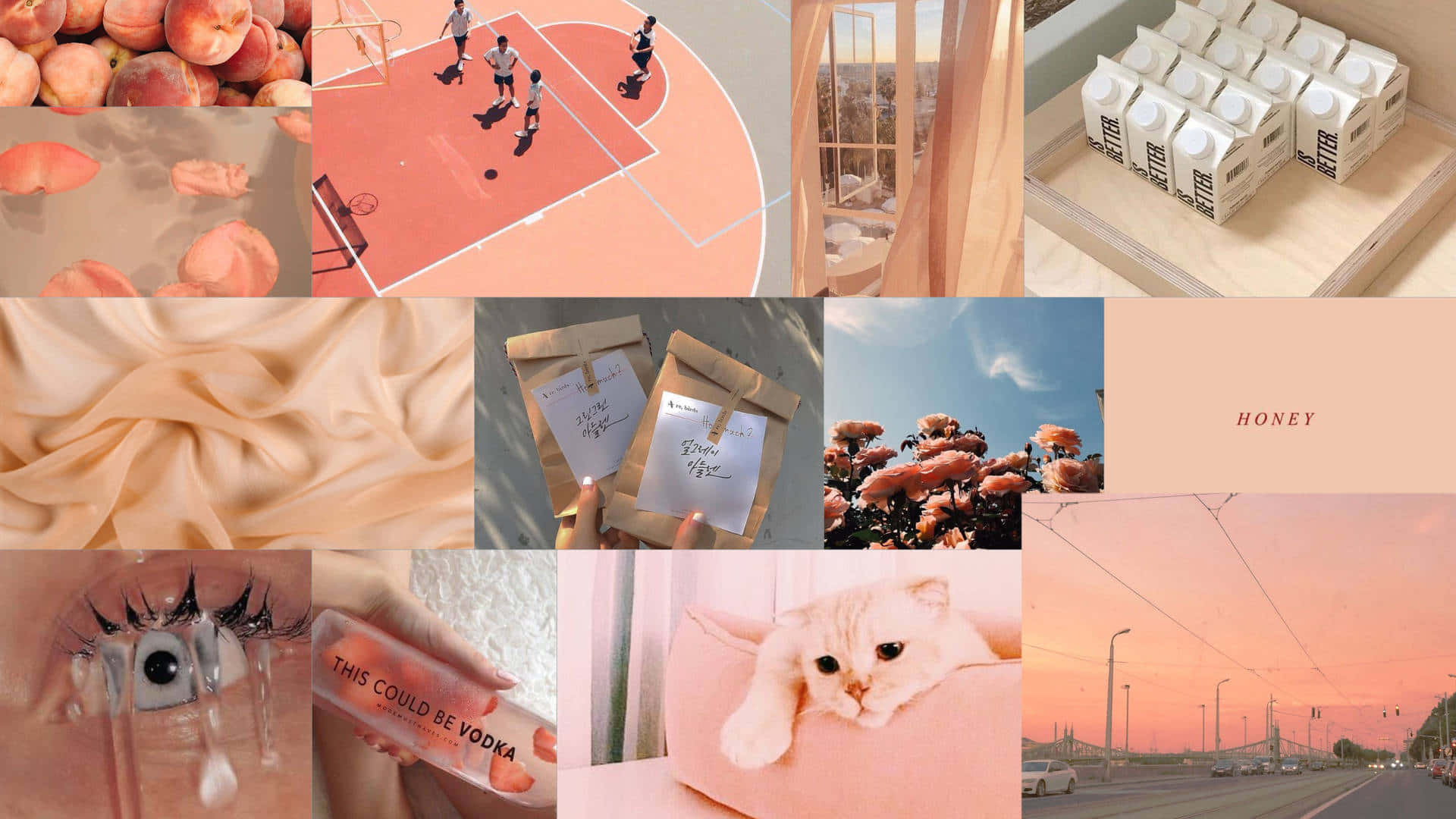 orange-peach aesthetic, peaches, silk cat milk cartons, Full HD Desktop Wallpaper