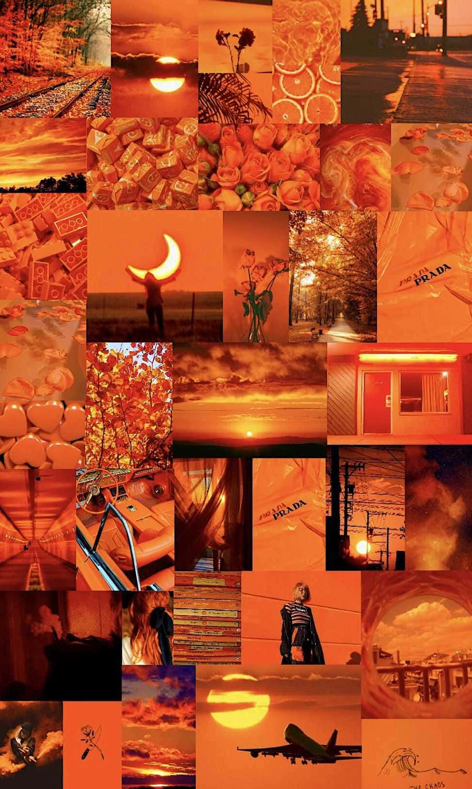 orange aesthetic, sunsets, roses, HD Phone Wallpaper