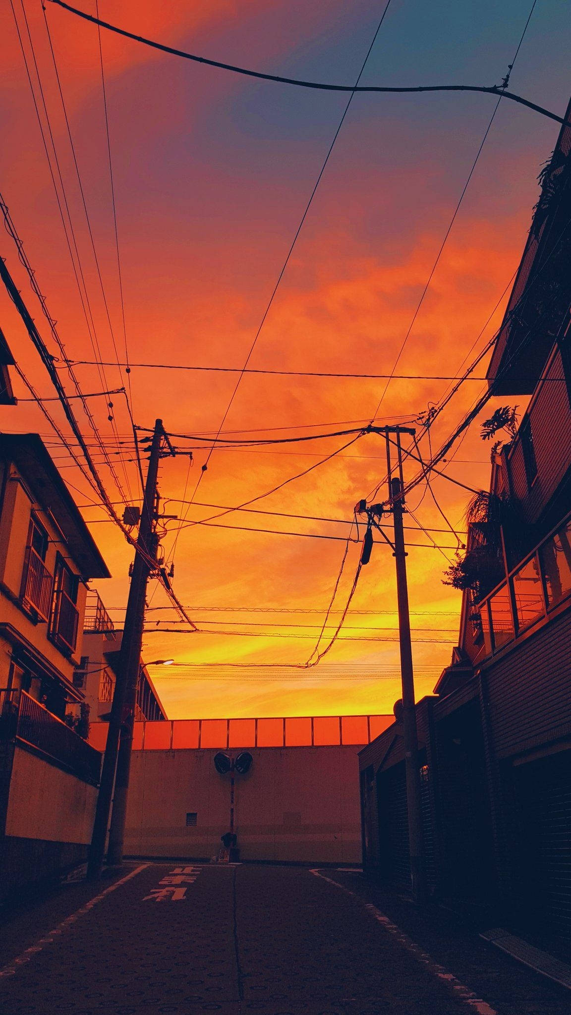 Orange Phone, sunset, fiery orange, Full HD Phone Wallpaper