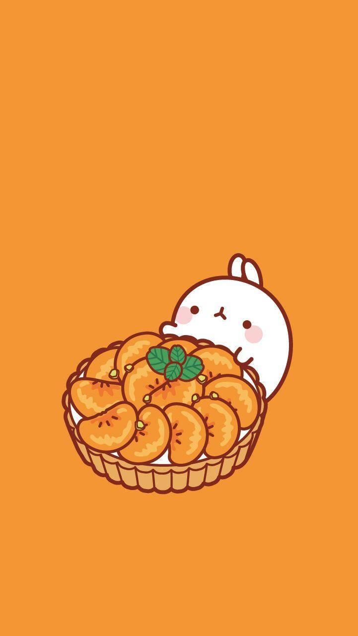 Cute Bunny Orange Phone, white rabbit, orange citrus slices, HD Phone Wallpaper