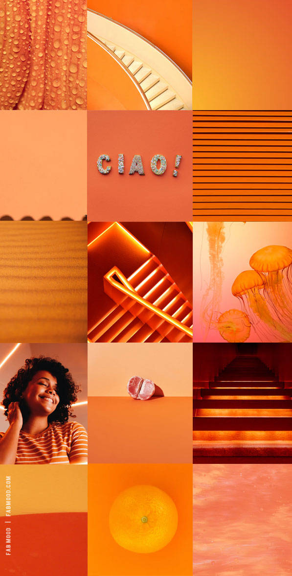 Orange Phone, vibrant orange, water droplets, SD Phone Wallpaper